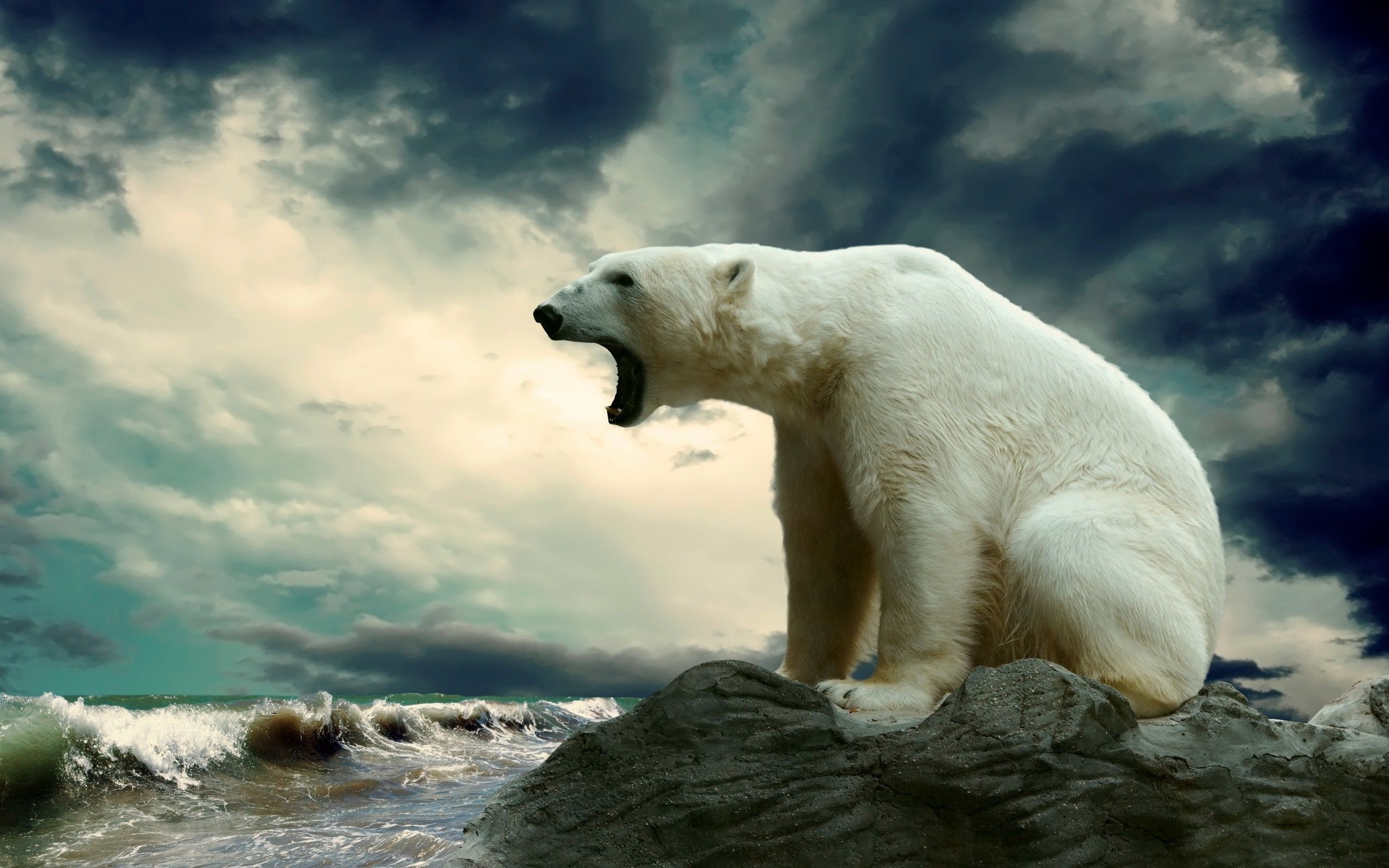 Cool polar bear wallpapers, Unique designs, Creative visuals, Desktop customization, 2560x1600 HD Desktop