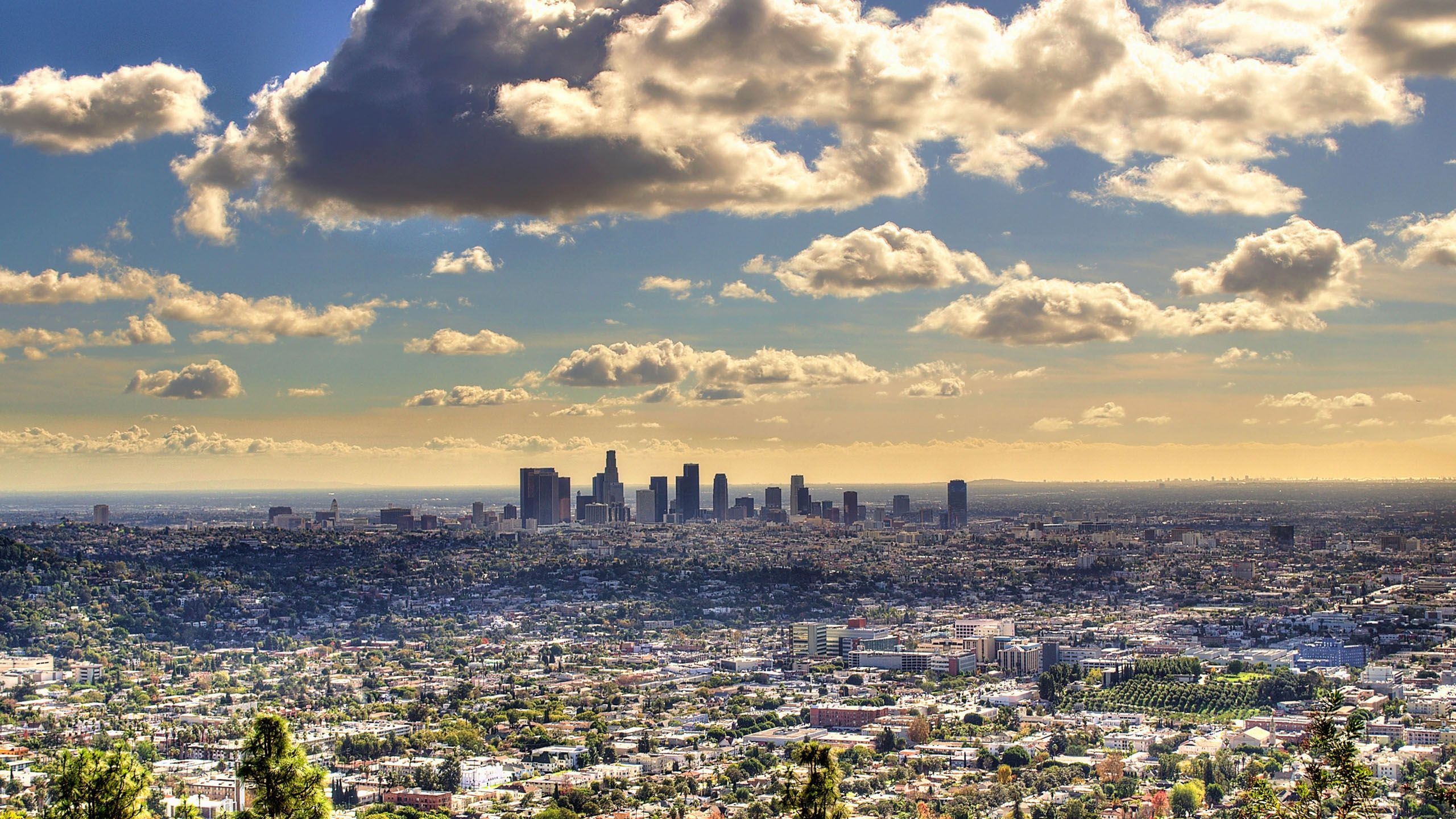 Cityscape, Los Angeles Wallpaper, 2560x1440 HD Desktop