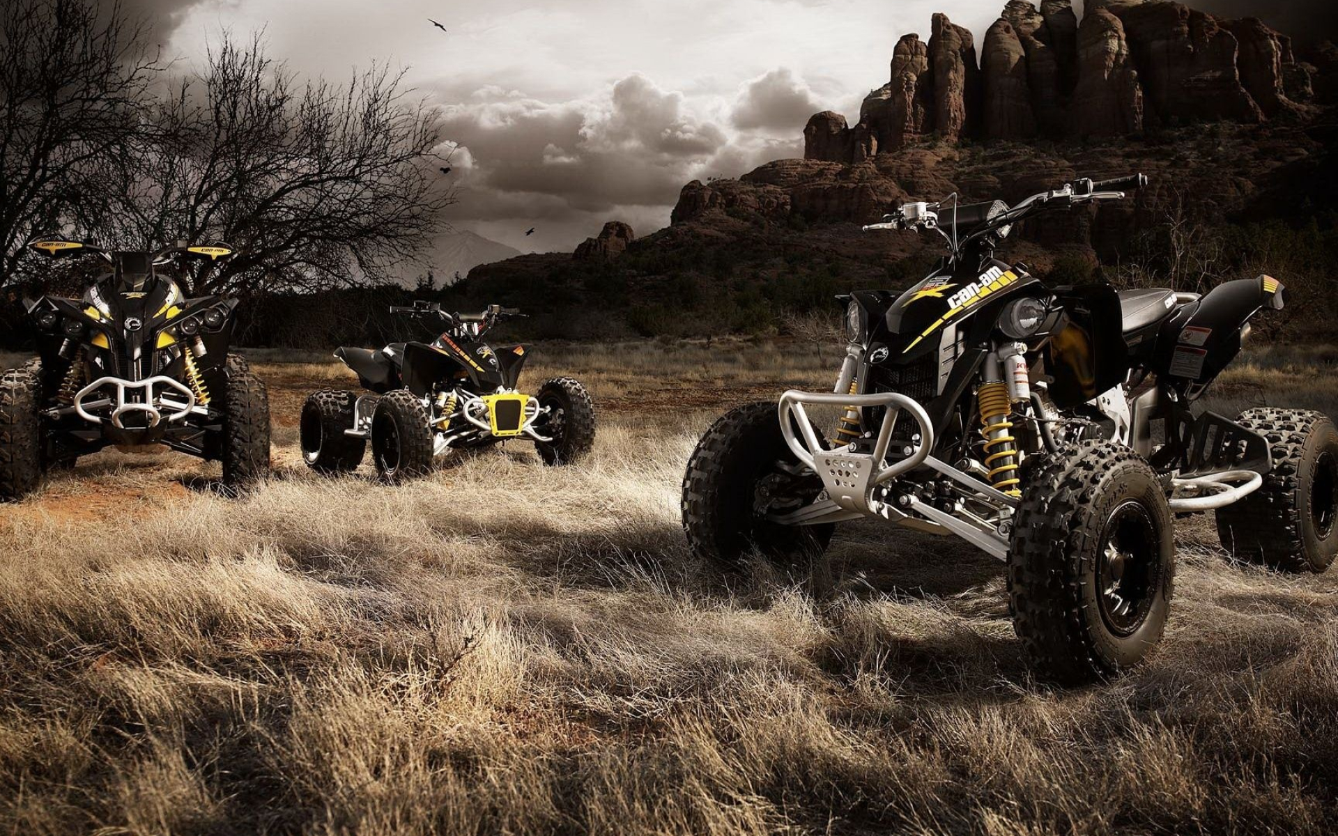 ATV, Top free wallpapers, Off-road adventure, Four-wheel excitement, 1920x1200 HD Desktop