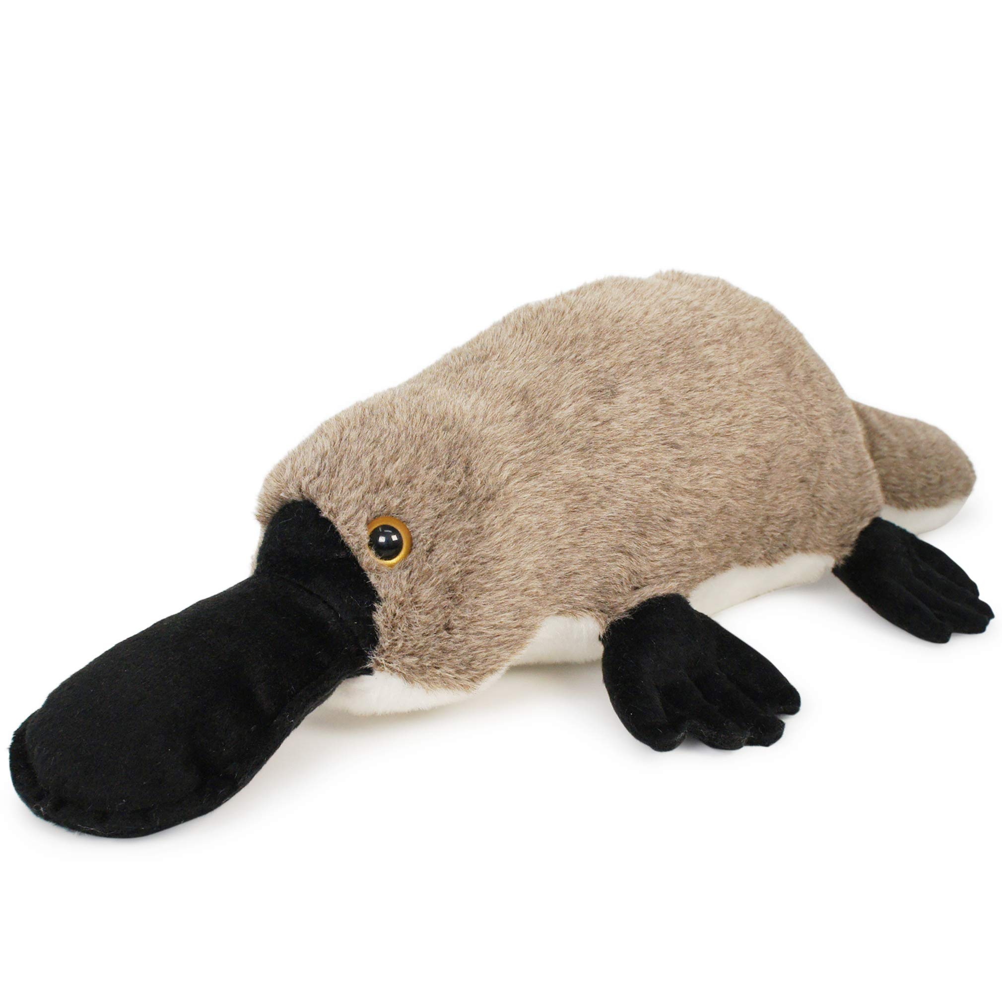Platypus, Large stuffed animal, Tiger Tale Toys, Playful companion, 2020x2020 HD Phone