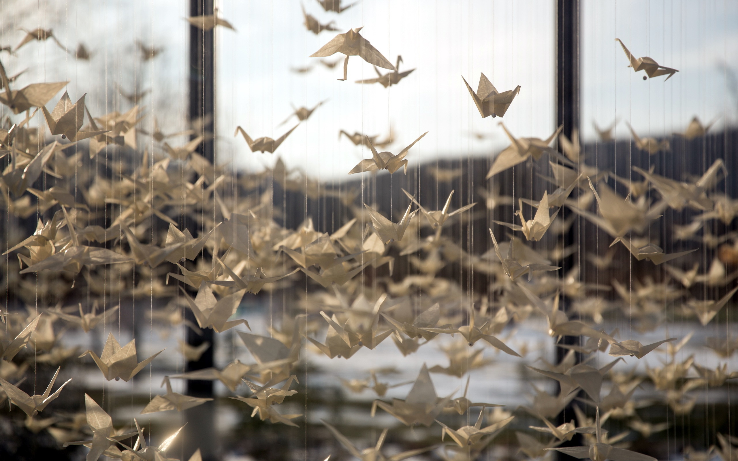 Paper Crane, Origami HD wallpaper, Subtle beauty, Serene art piece, 2560x1600 HD Desktop