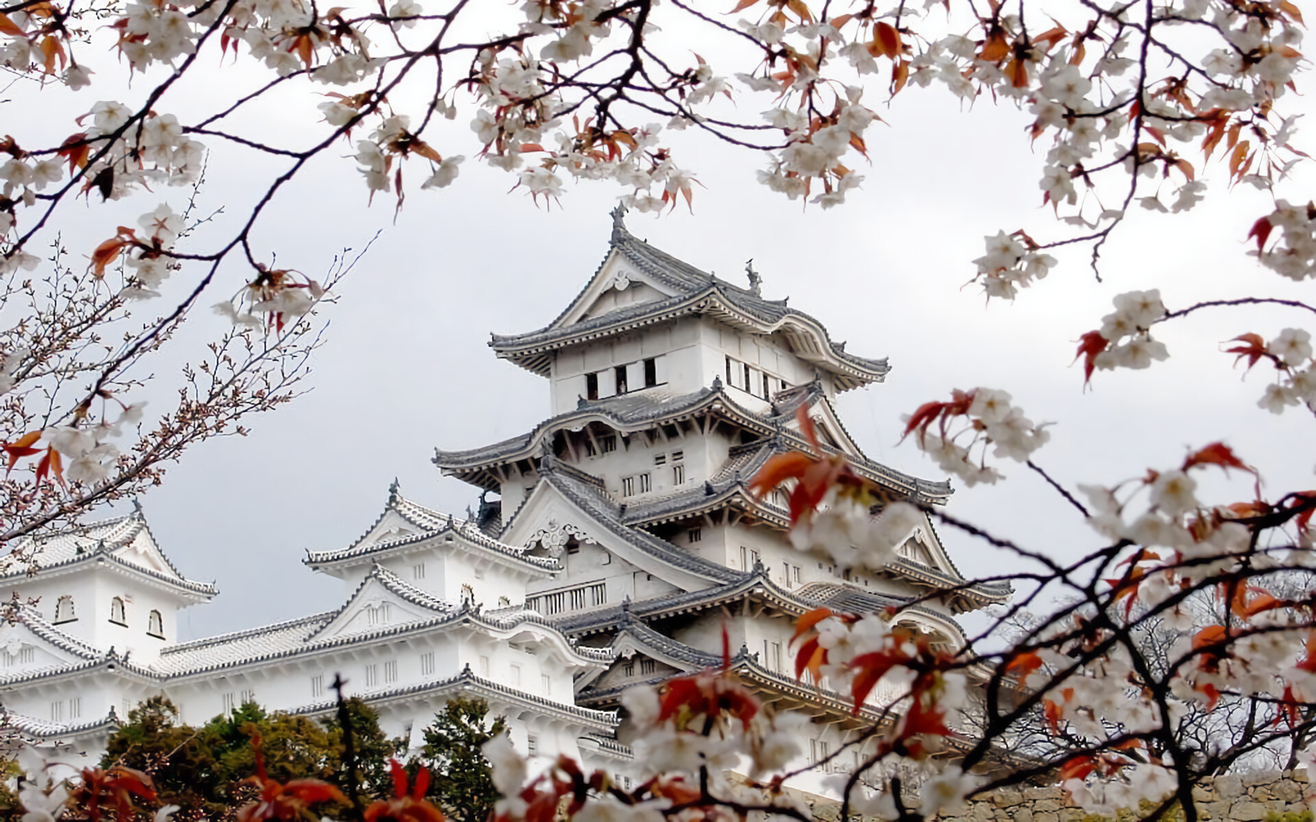 Himeji Castle, Japan Wallpaper, 1920x1200 HD Desktop