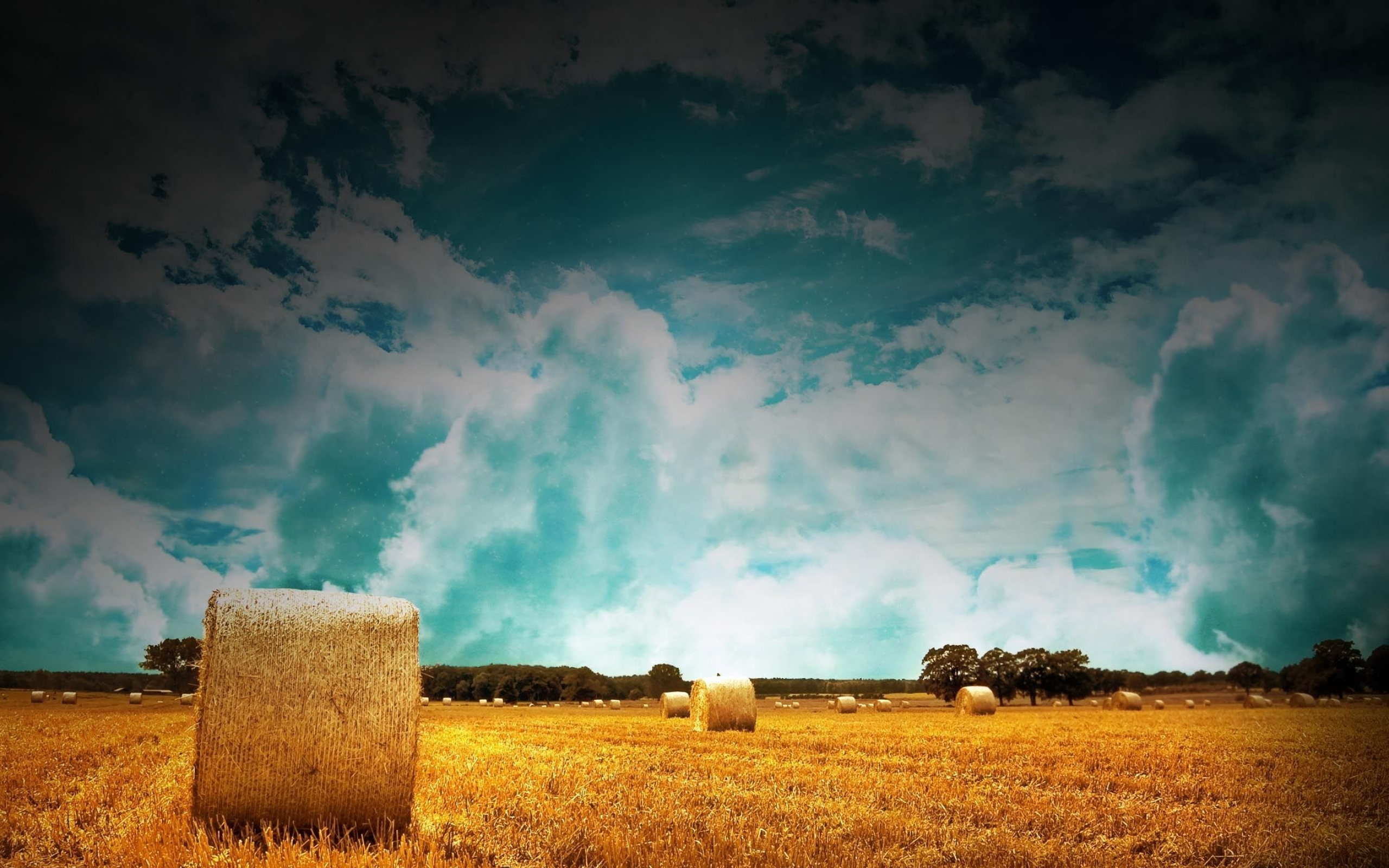Straw rolls, Farms Wallpaper, 2560x1600 HD Desktop