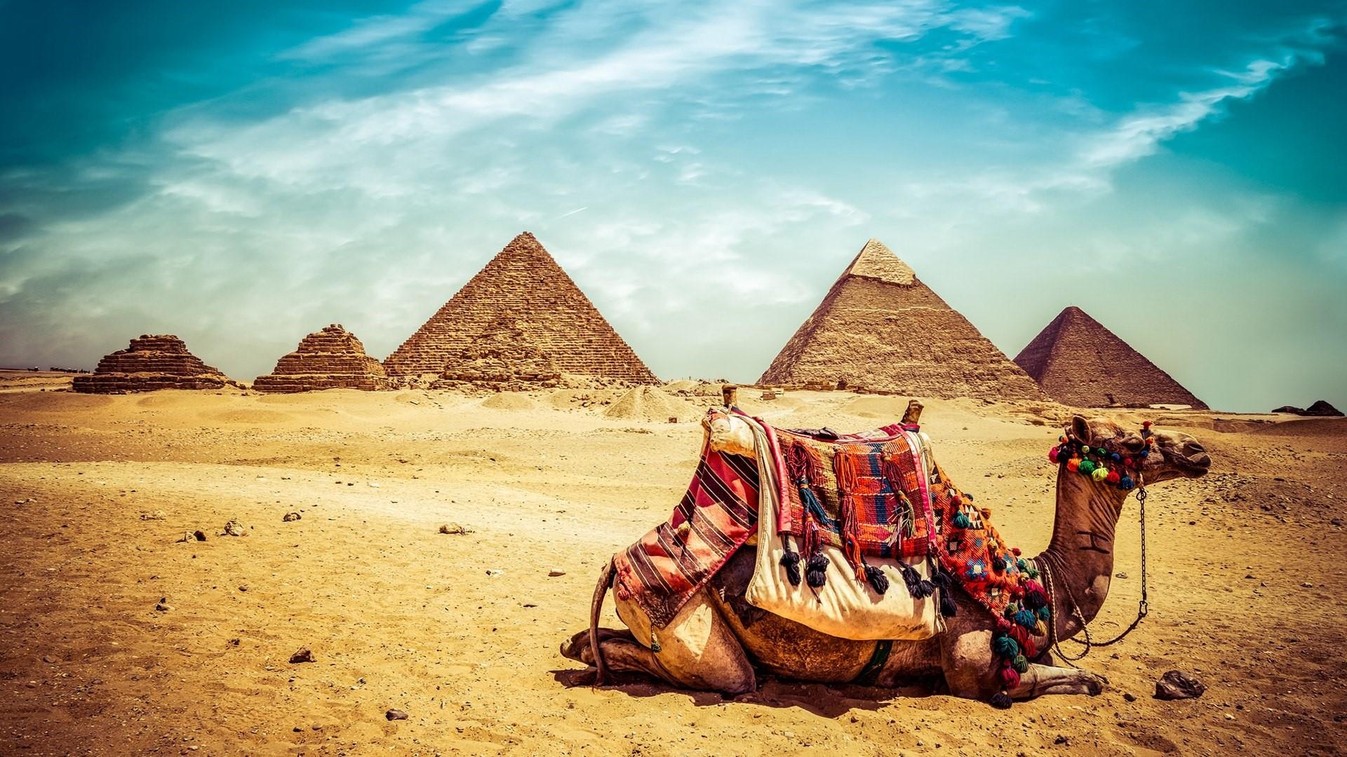 Trivaeg directory, Best price excursions, Egyptian tours, Luxor travels, 1920x1080 Full HD Desktop