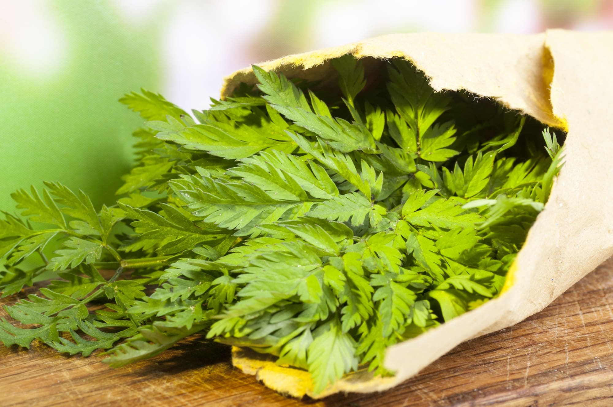 Classic European chervil, Versatile spice, Traditional uses, 2000x1330 HD Desktop