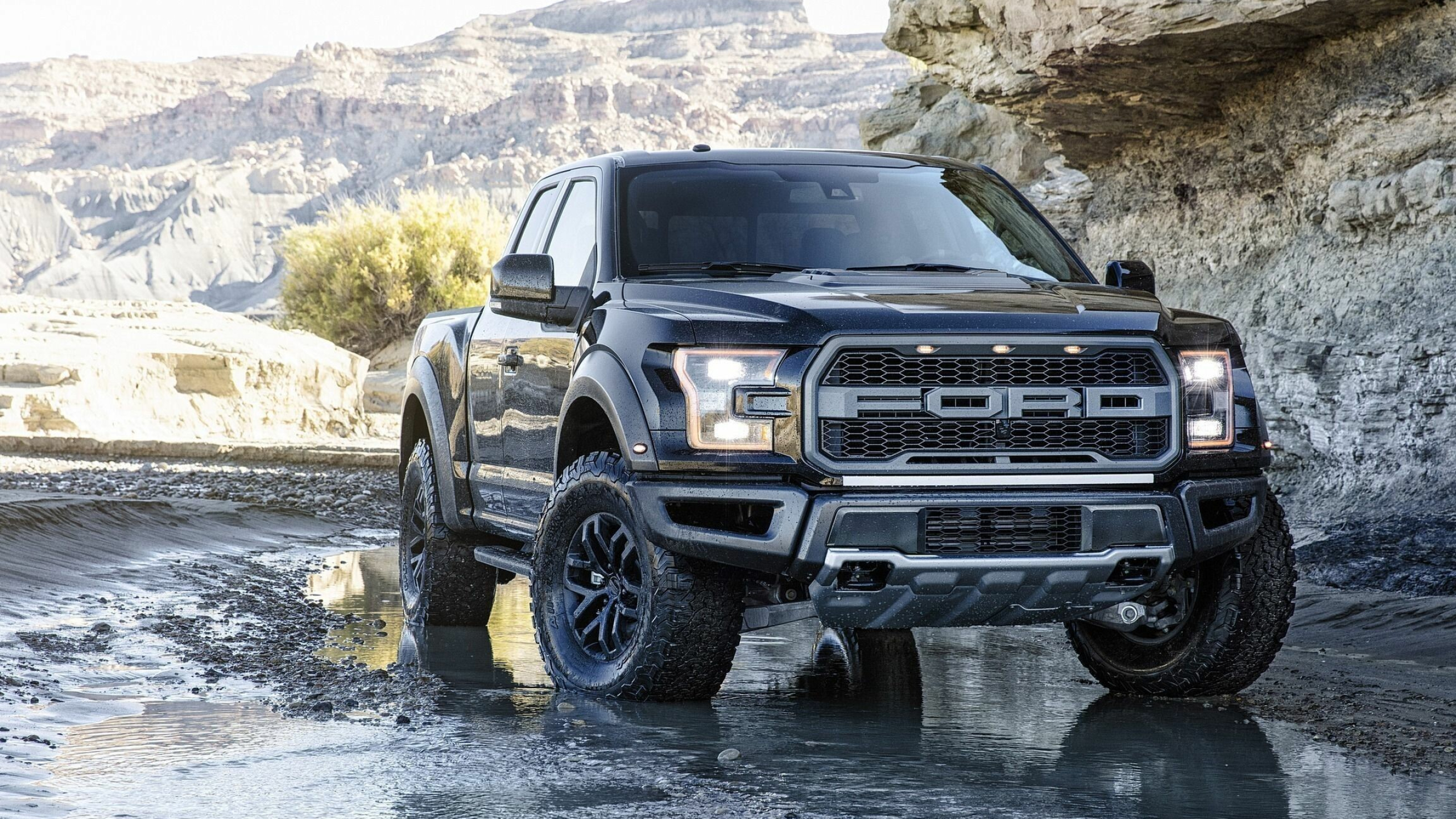 Vertical Ford wallpapers, 4K HD, Unique orientation, Striking graphics, 2560x1440 HD Desktop