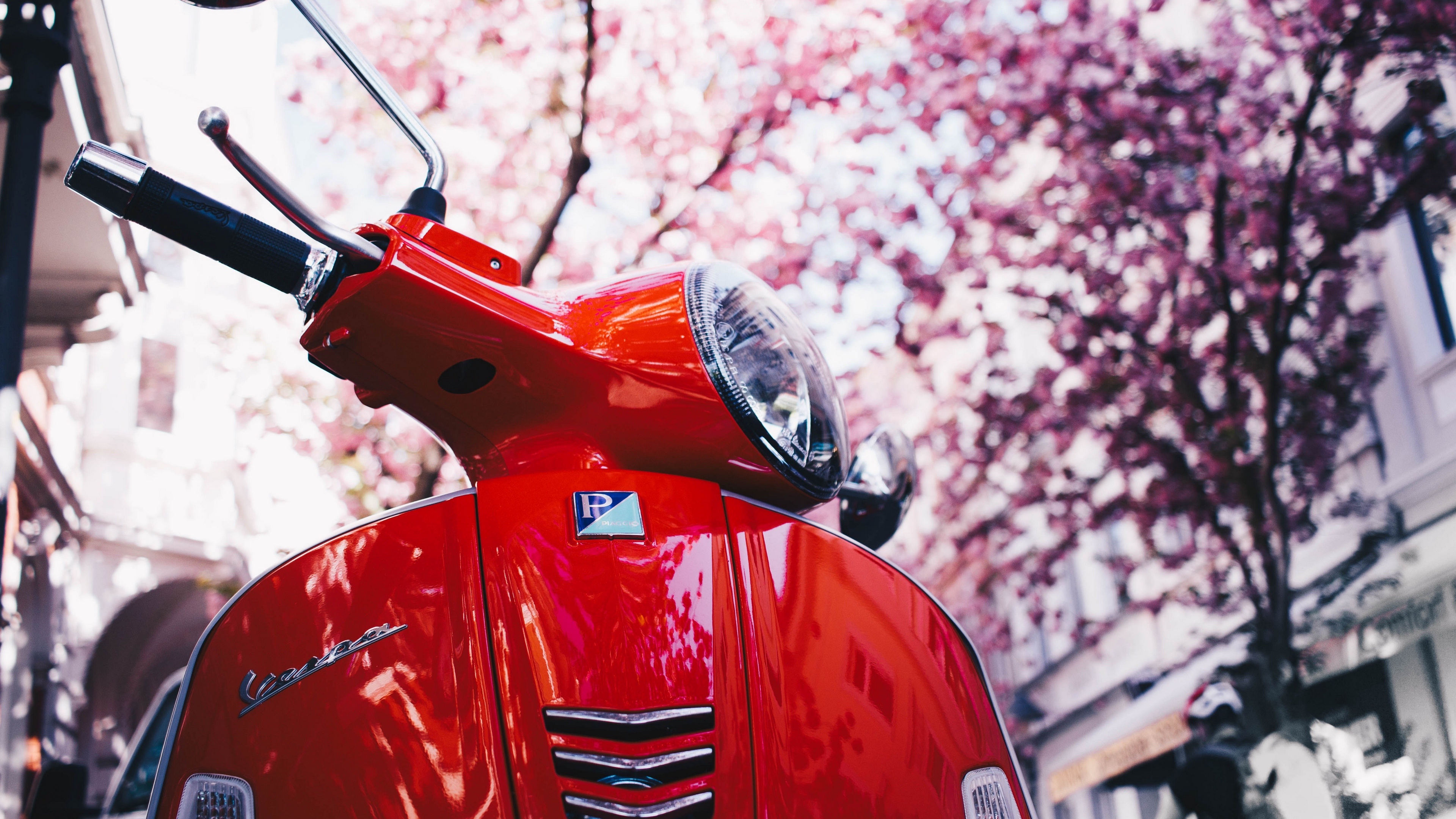 Vespa, Auto, Vespa scooter, Red Sakura, 3840x2160 4K Desktop