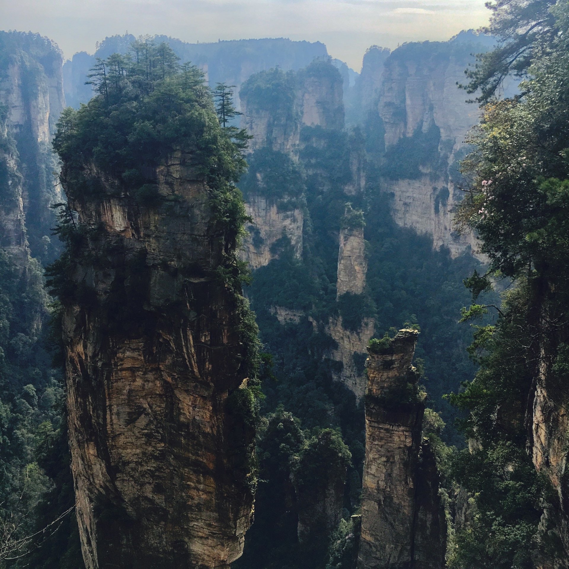 Wulingyuan National Park, Travels, Zhangjiajie Avatar mountains, Travelogues, 1920x1920 HD Phone