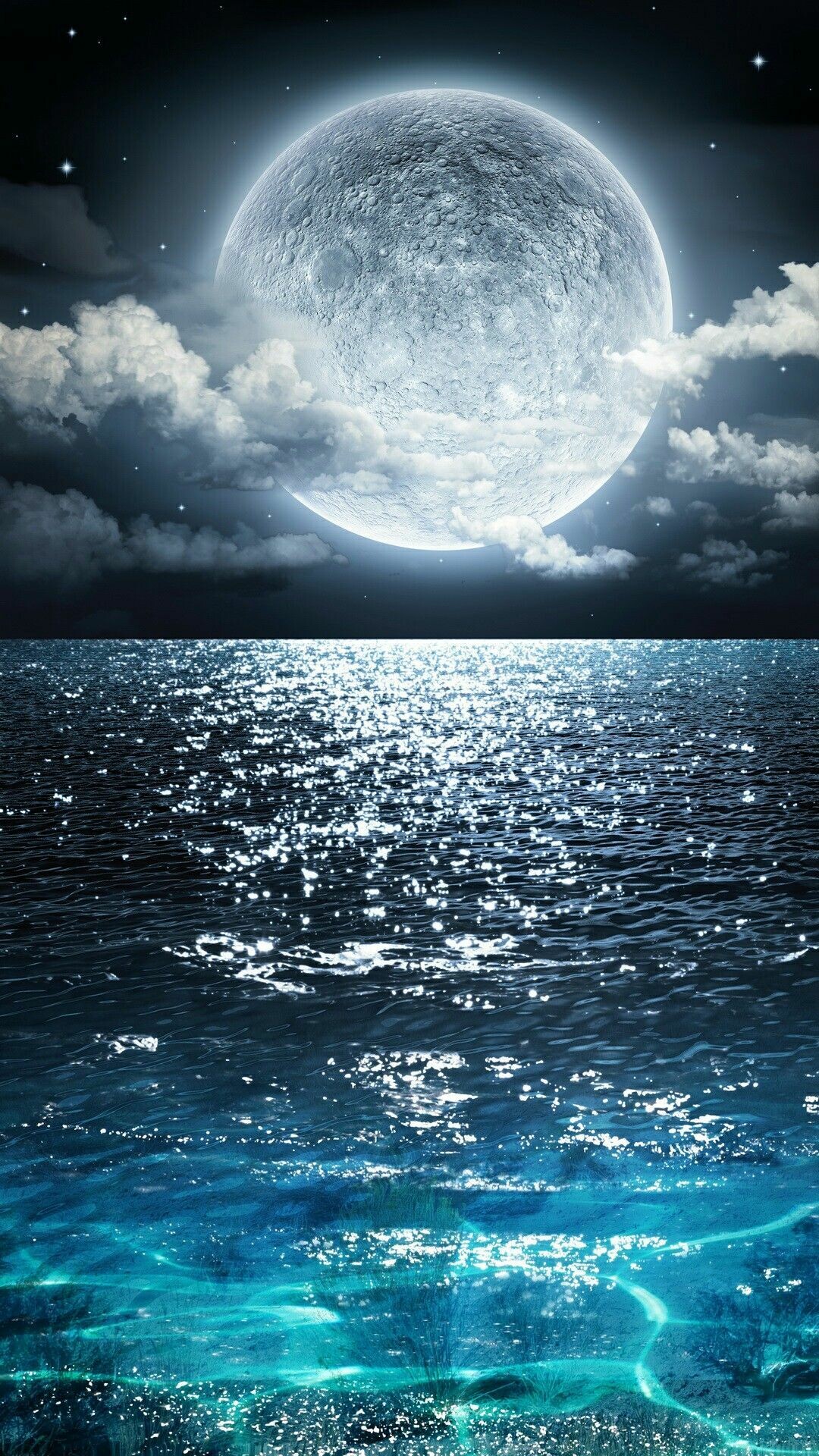 Monochromatic moonlight, Midnight beauty, Enchanting glow, Nighttime tranquility, 1080x1920 Full HD Phone
