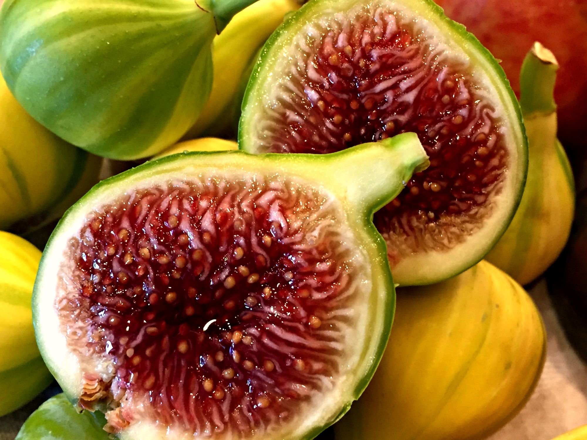 Variety of figs, Captivating fig photos, Fig tree beauty, Fig variety ideas, 2000x1500 HD Desktop