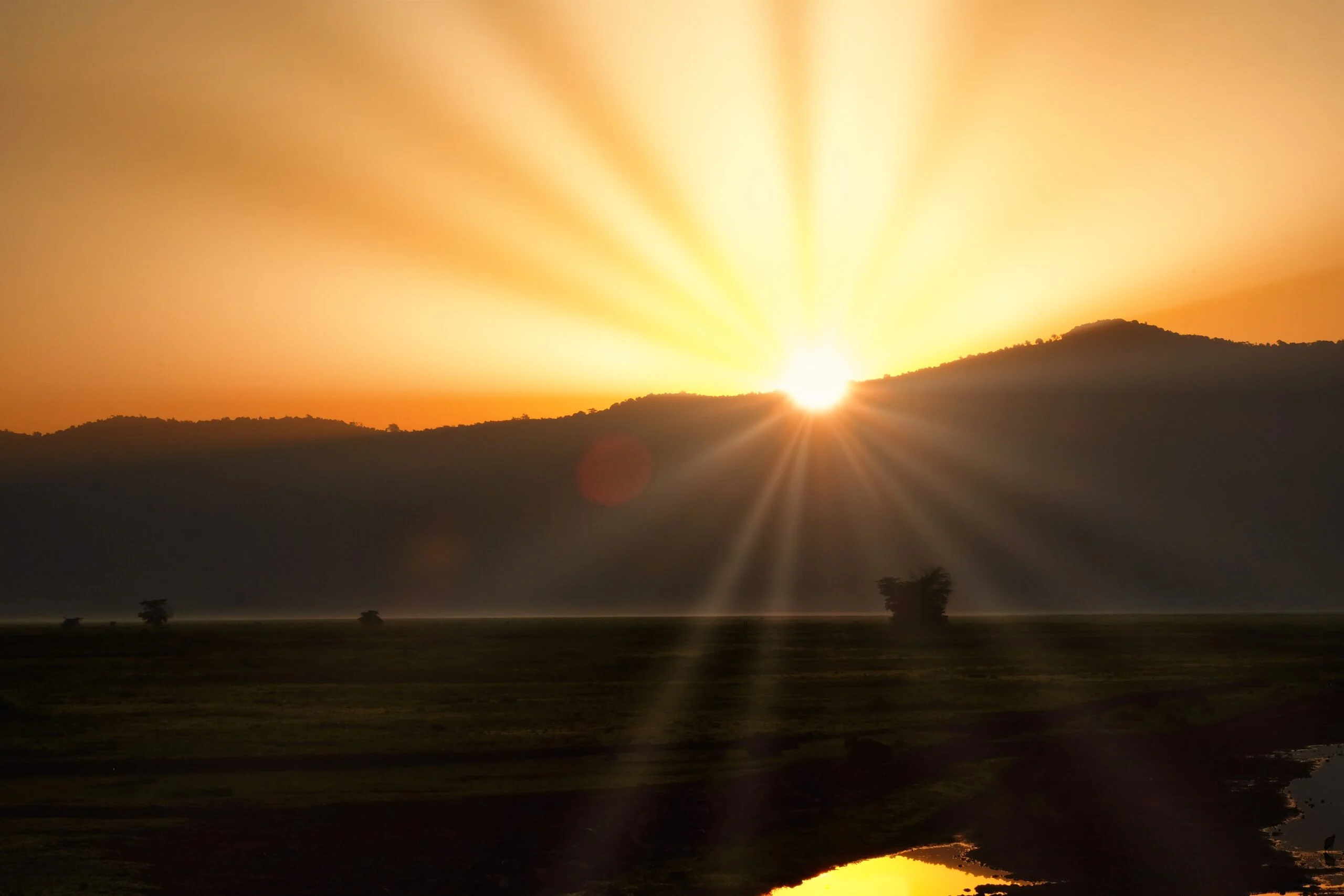 Expectations on Ngorongoro Crater safari, Ultimate guide, 2560x1710 HD Desktop