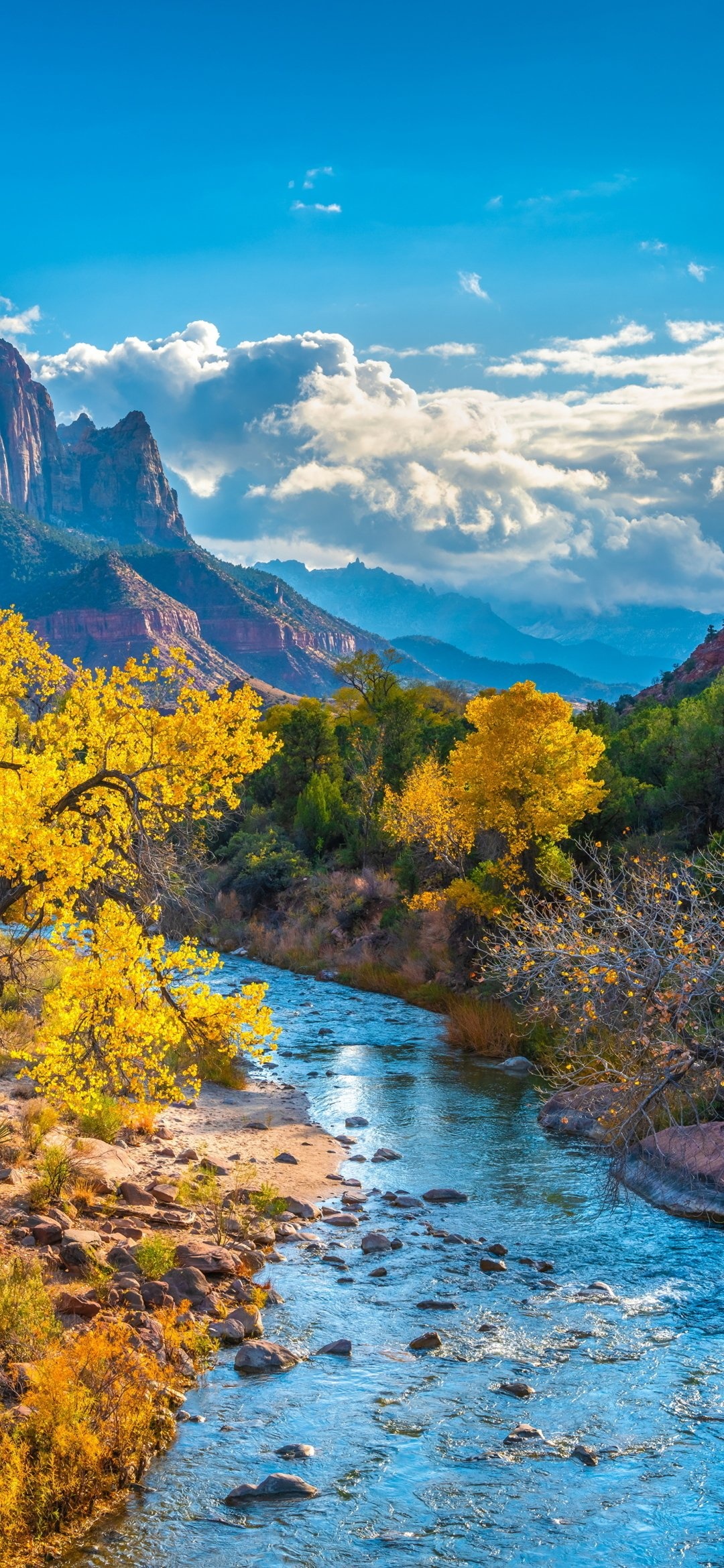 Zion National Park, Earth's treasure, Pristine wilderness, Nature's playground, 1080x2340 HD Phone