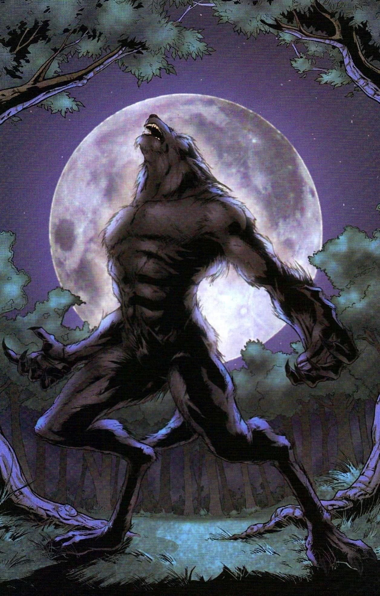 Fierce werewolf, Samsung wallpapers, Dark and brooding, Nighttime terror, 1260x1970 HD Phone