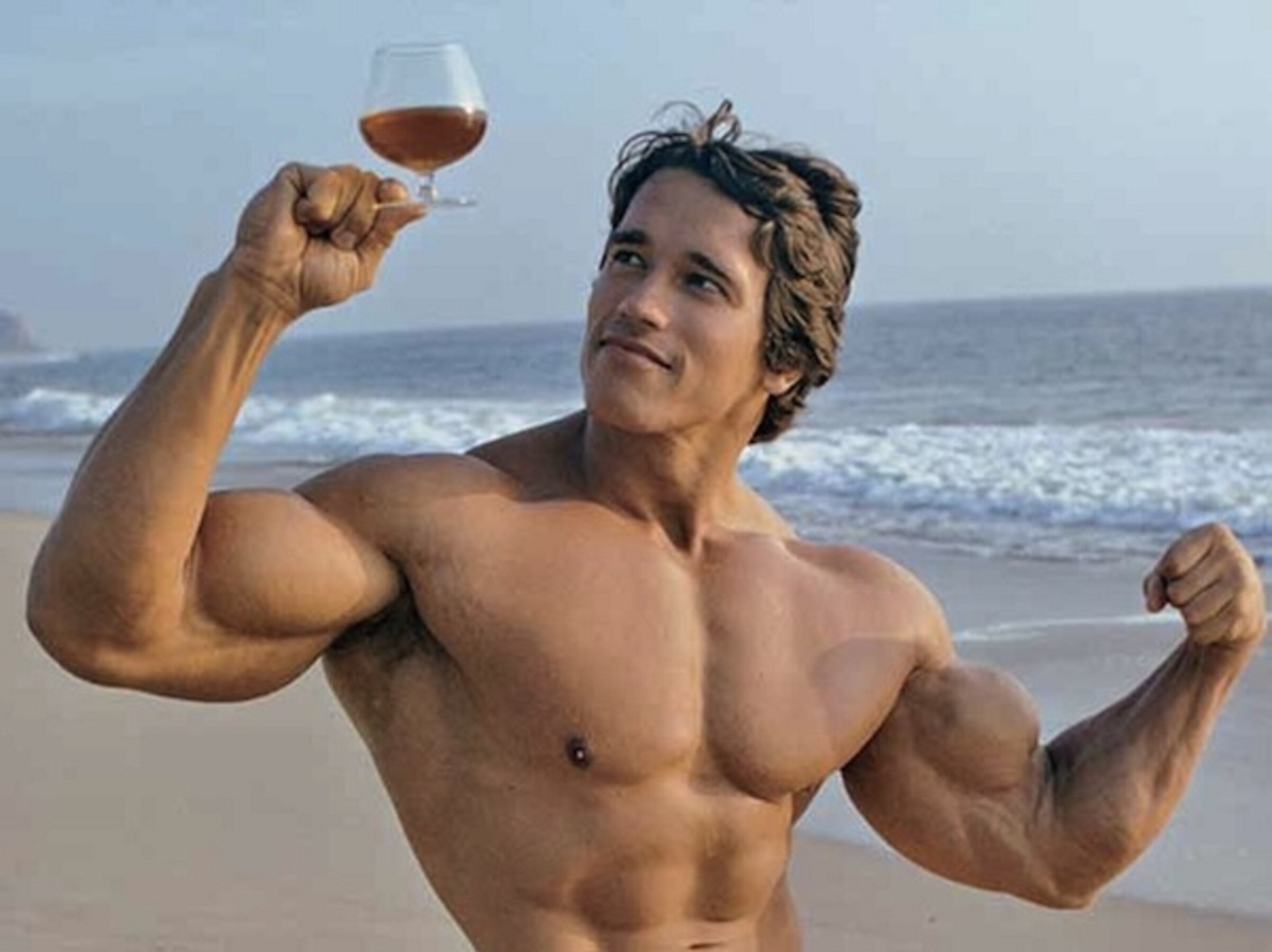 Arnold Schwarzenegger, HD, Celeb, Wallpaper, 2400x1800 HD Desktop