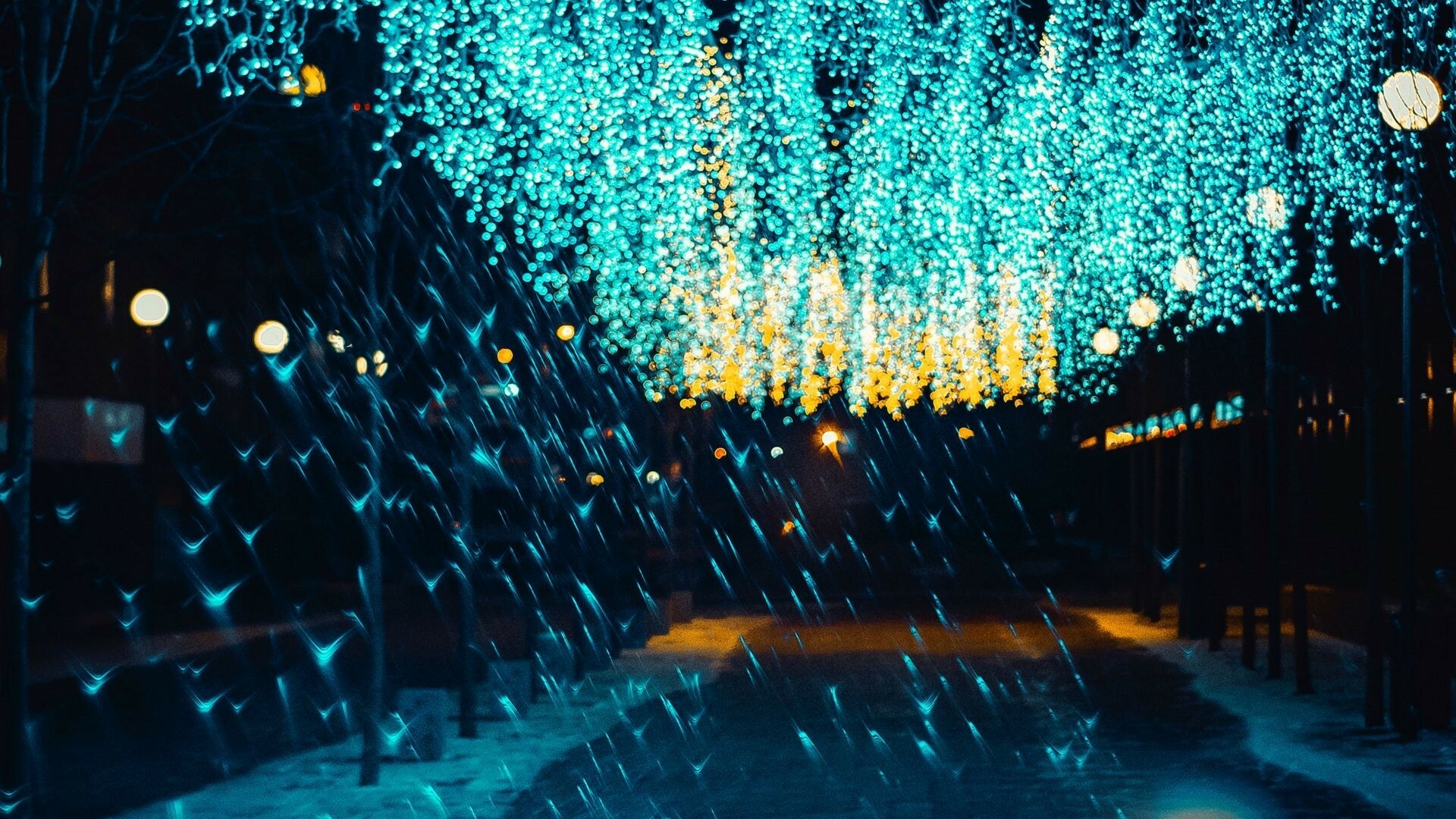 Fairy Lights, Magical ambiance, Captivating glow, Dreamy atmosphere, 1920x1080 Full HD Desktop