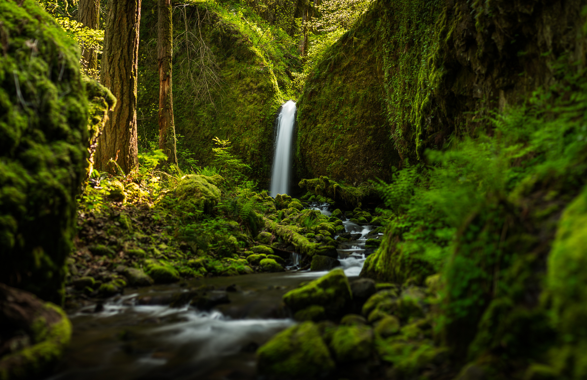 Gushing waterfall, Verdant surroundings, Refreshing mist, Natural wonder, 2050x1330 HD Desktop