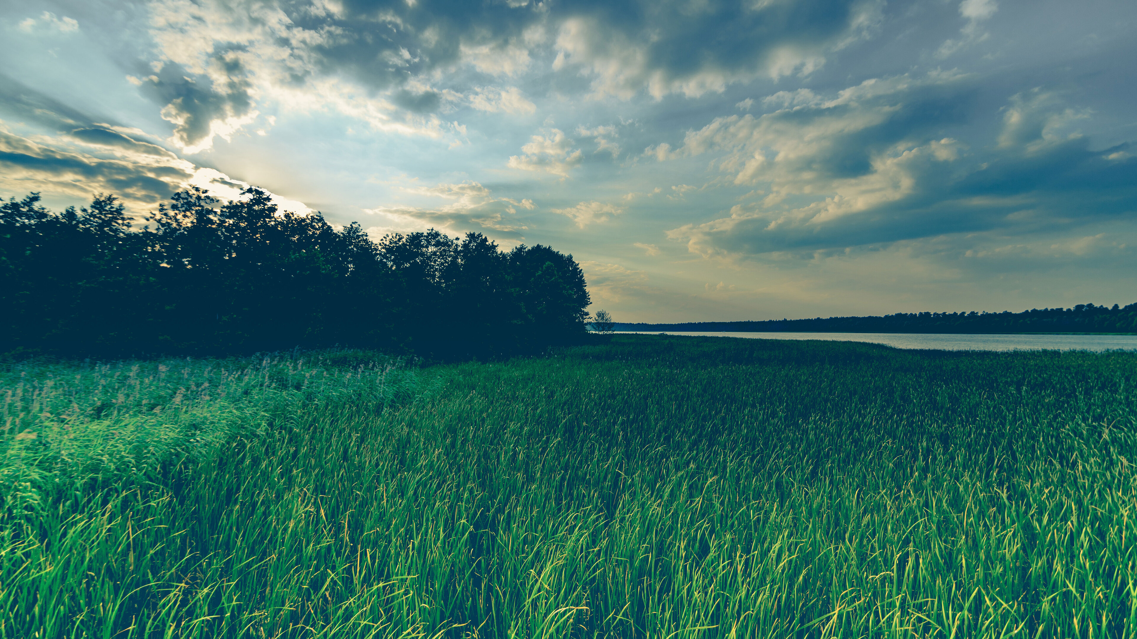 Grass field, Sky reflection, Windy atmosphere, Vibrant scenery, 3840x2160 4K Desktop