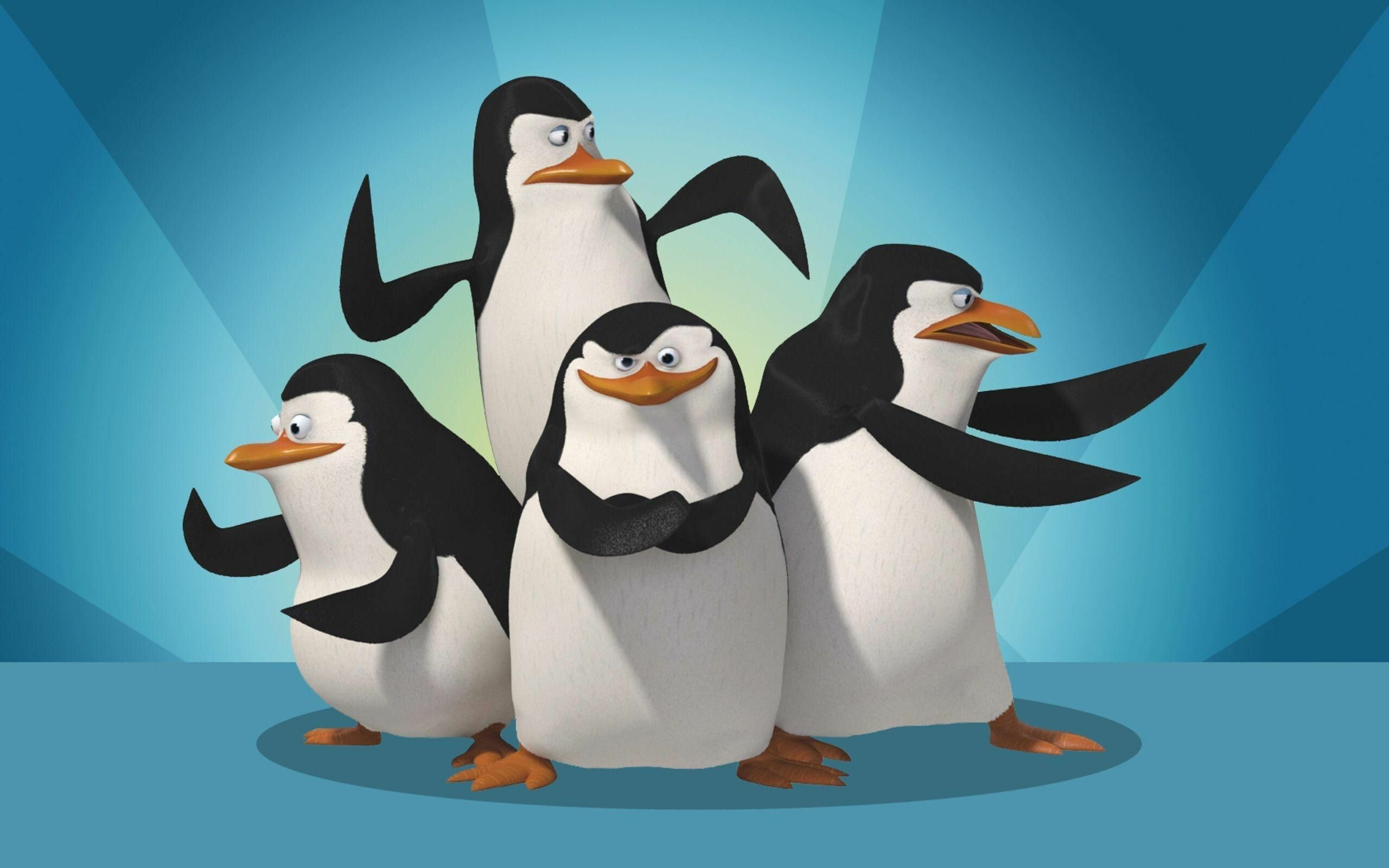 Madagascar movie, Penguins of Madagascar, Backgrounds, 2560x1600 HD Desktop