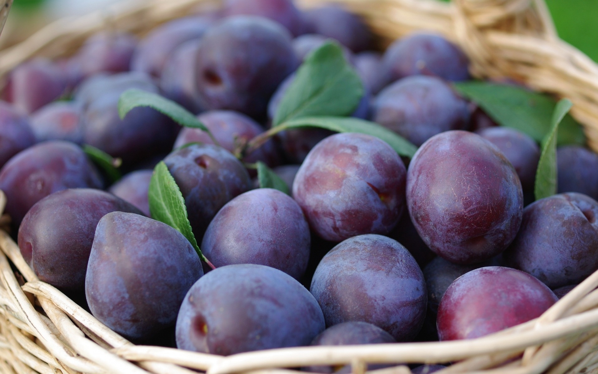 Plate of plums, Fruit harvest, High-quality pictures, Desktop wallpaper, 1920x1200 HD Desktop