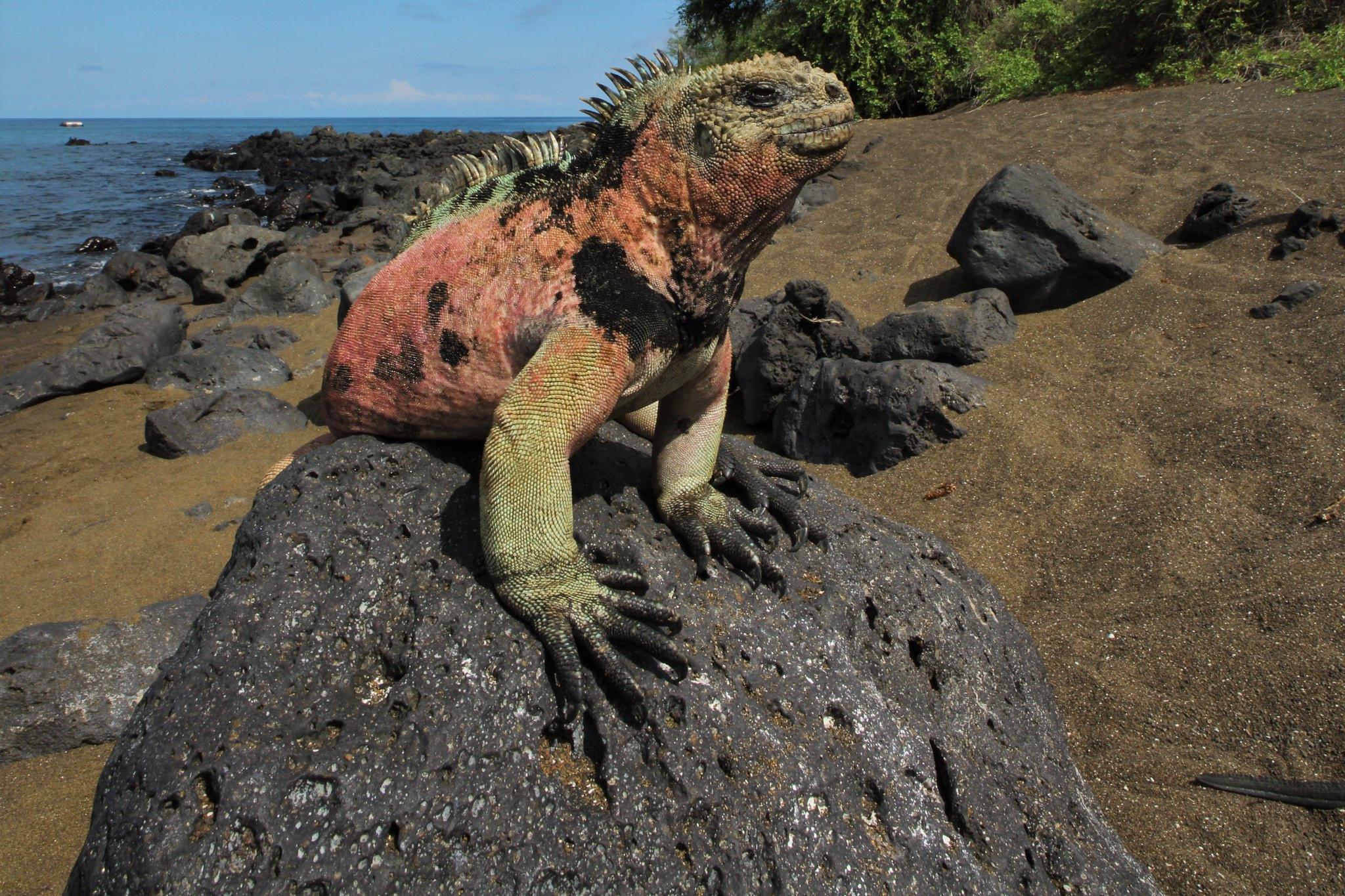 Galapagos Islands, San Cristobal Island, Galapagos travel, HC8AR, 2050x1370 HD Desktop