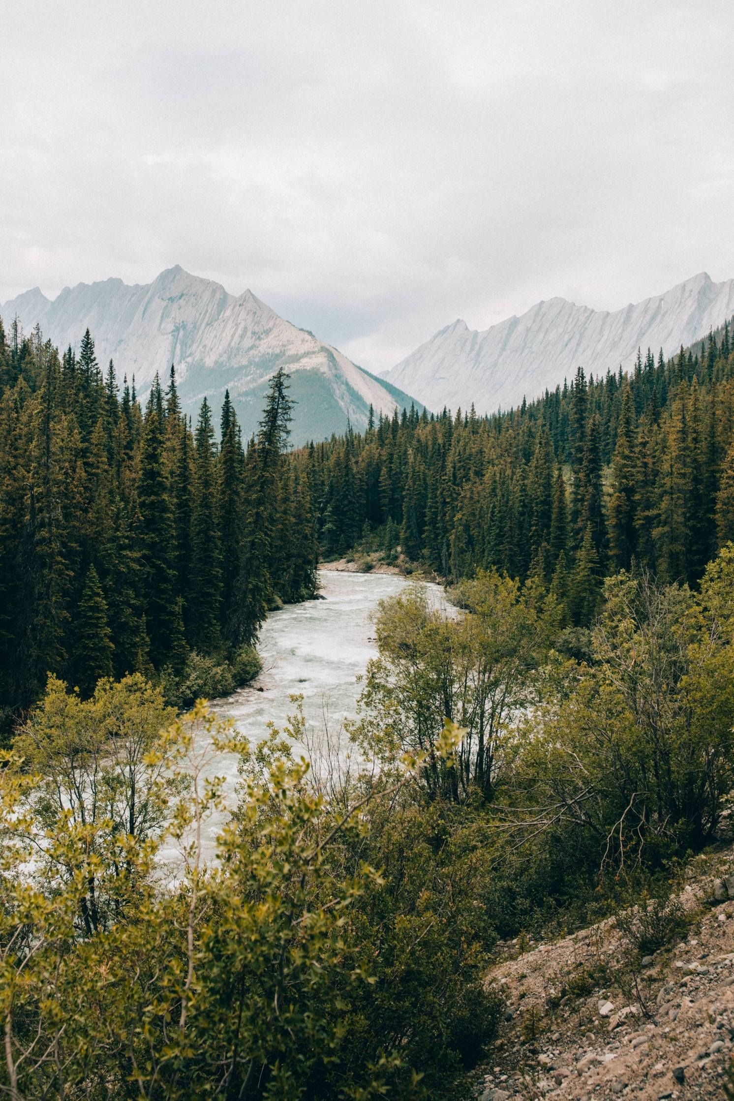 Jasper National Park, Photo Spots, Landscape Photography, 1500x2240 HD Phone