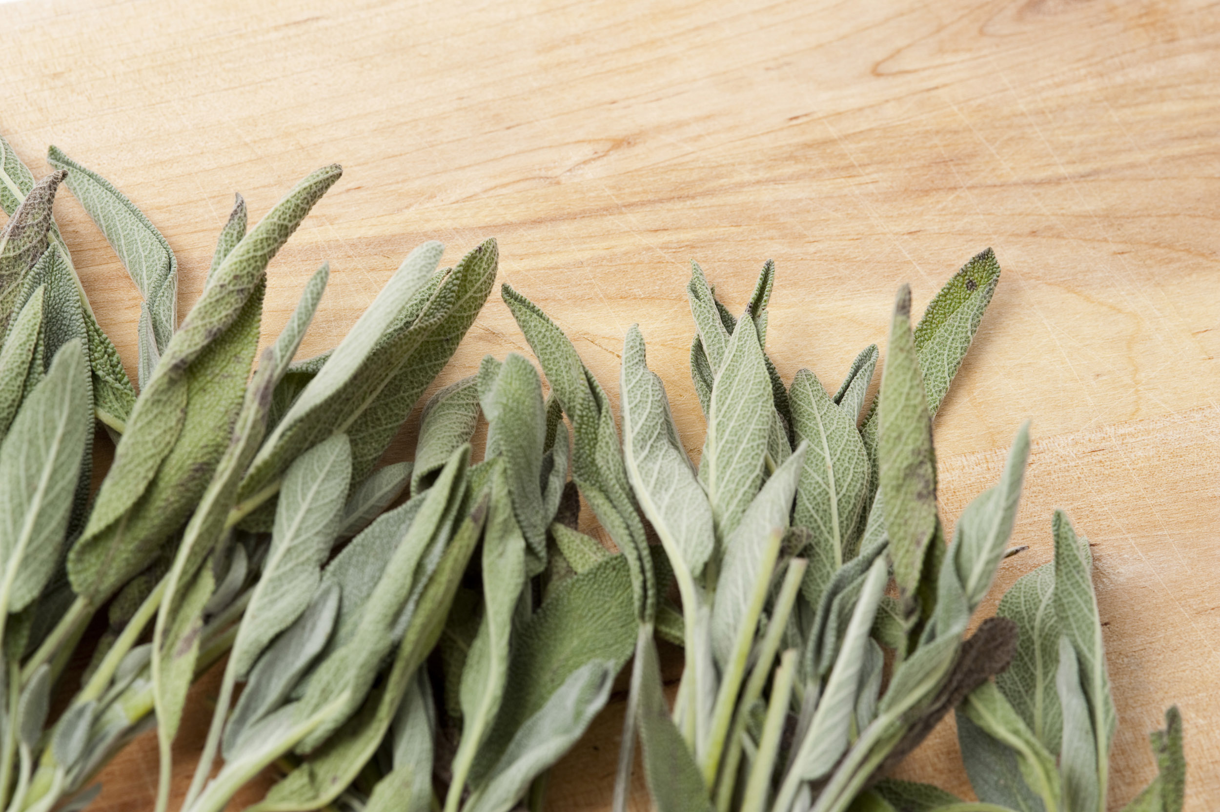 Fresh sage leaves, Stock photo, Herbal imagery, Natural beauty, 2500x1670 HD Desktop