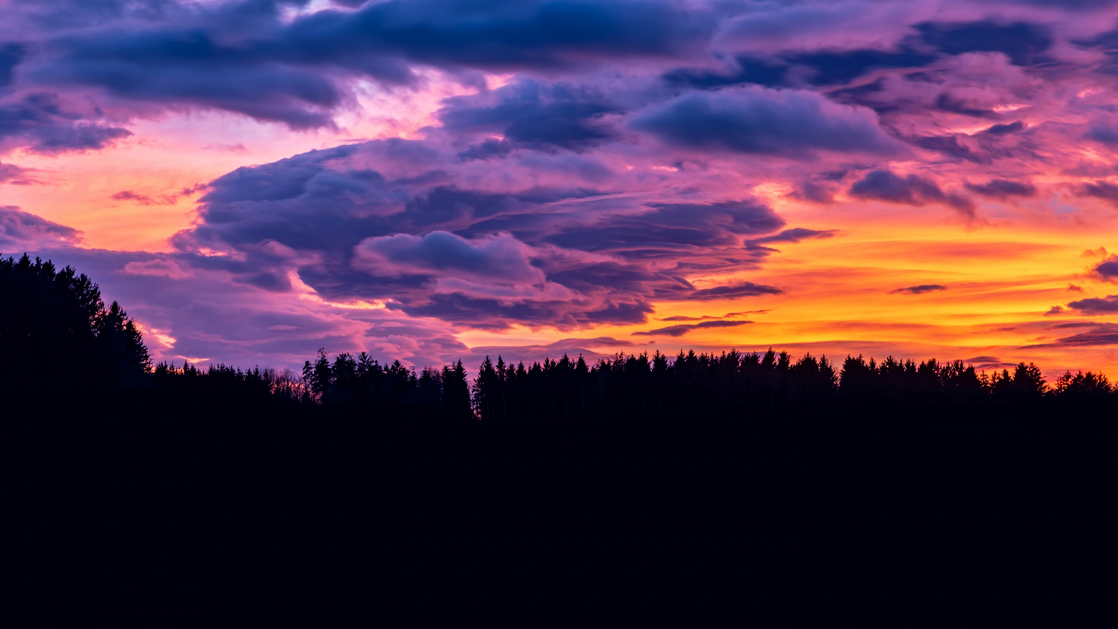 silhouetted evergreen forest, purple twilight clouds, vibrant orange sunset horizon, 4K Desktop wallpaper