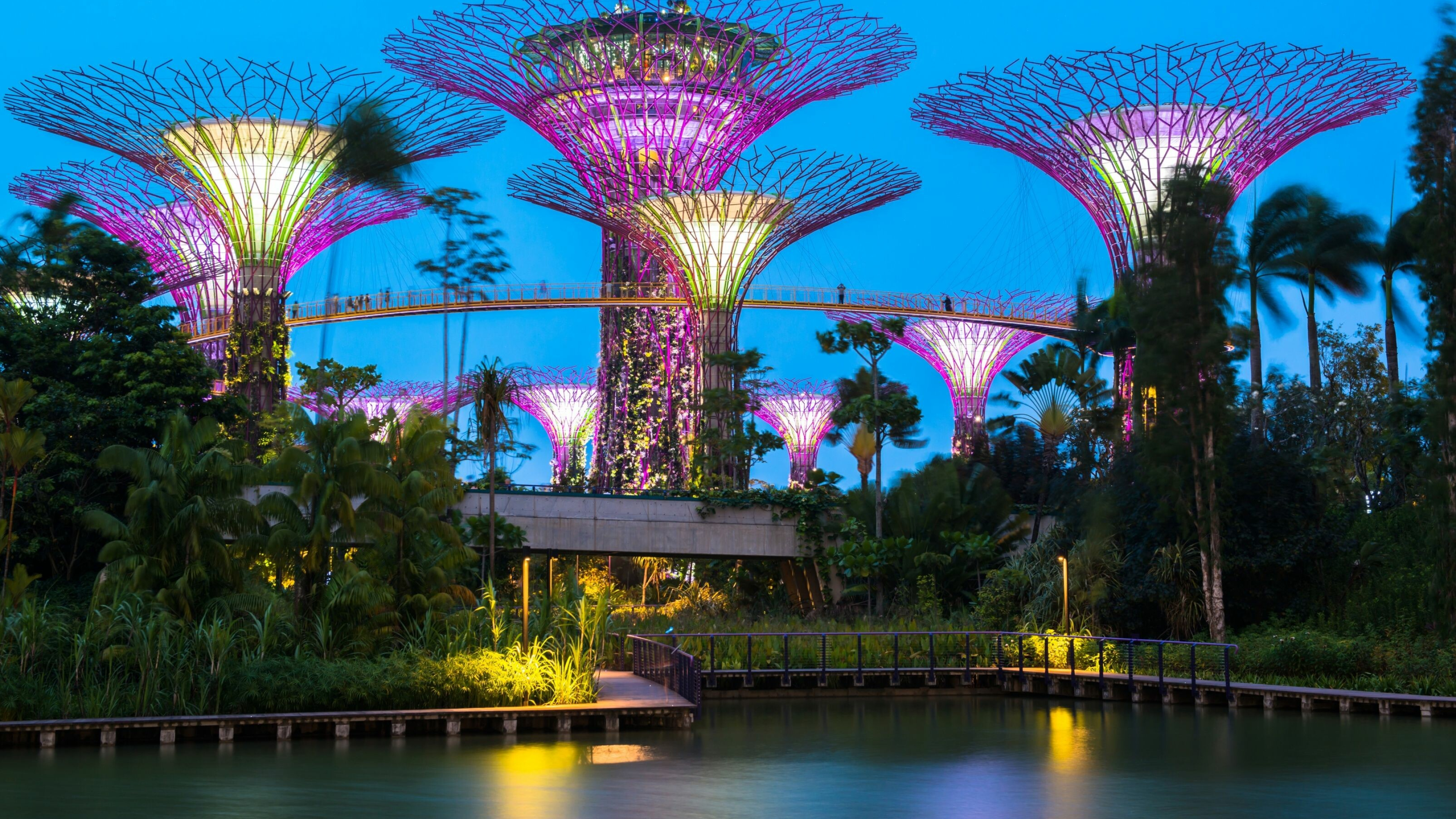 Supertree Grove, Singapore Wallpaper, 3560x2000 HD Desktop