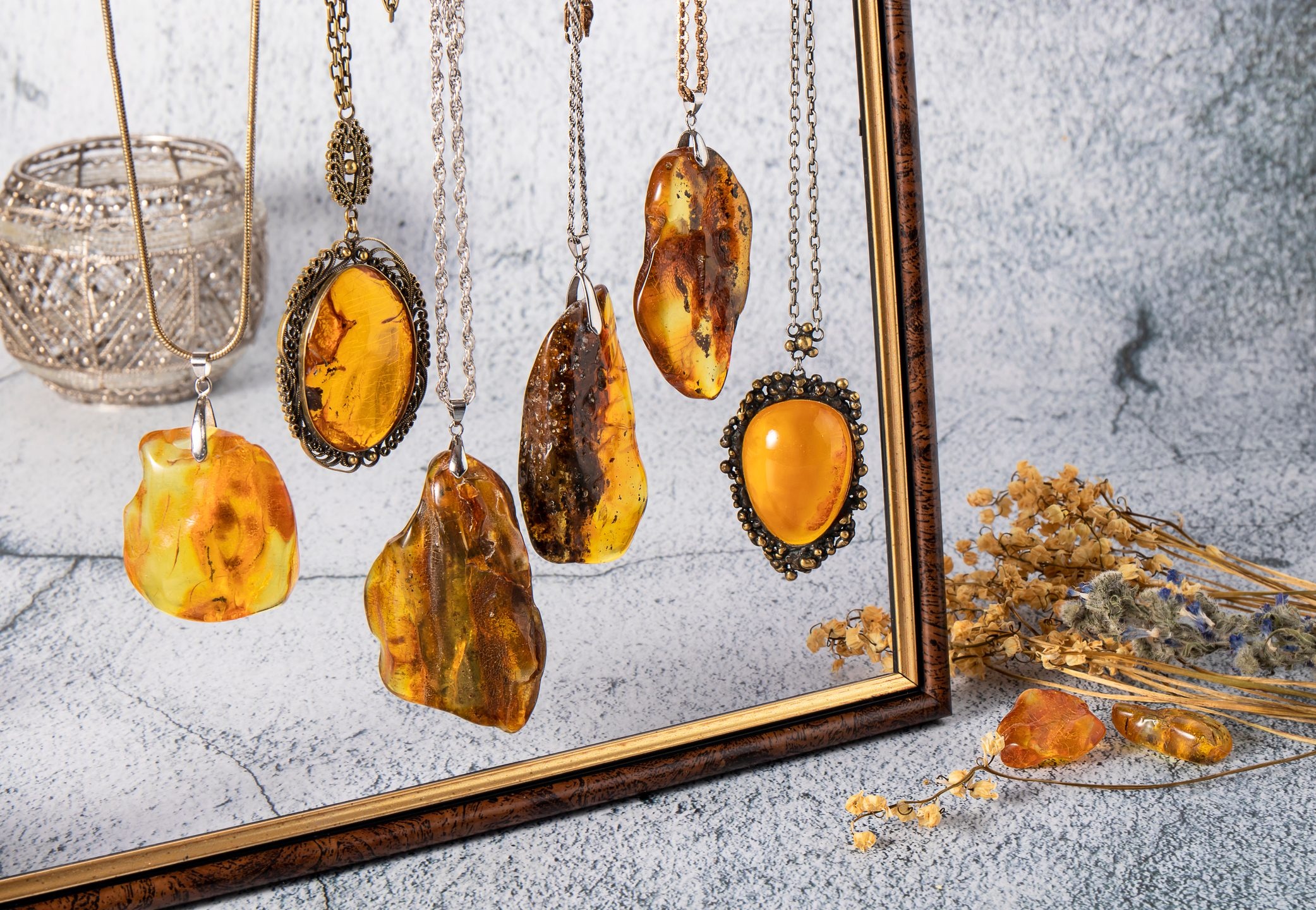 What is amber and how does it preserve animals? | BBC Wildlife Magazine | Discover Wildlife 2090x1440