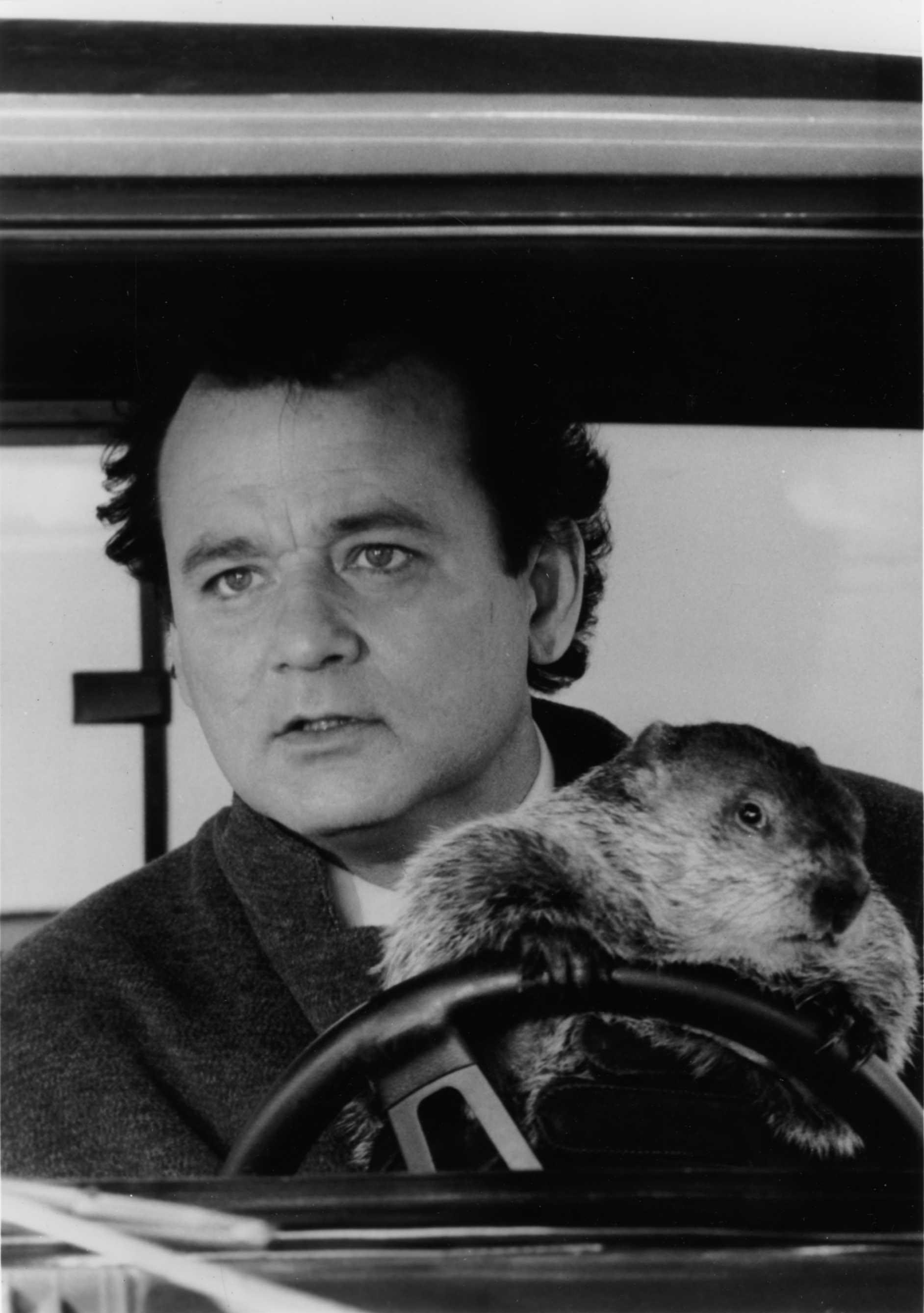 Groundhog Day Movie, Time loop comedy, Groundhog Day movie, Phil Connors, 1890x2680 HD Phone