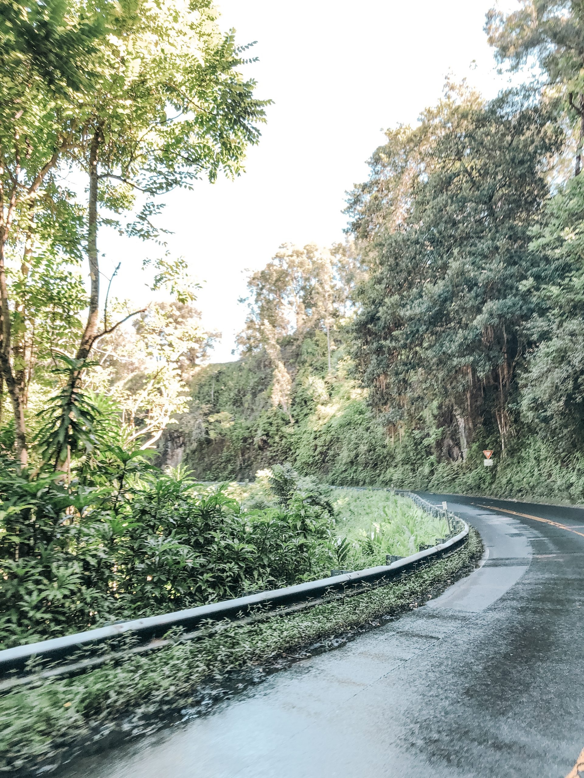 Road to Hana, Maui, Family friendly stops, Rain and Pine, 1920x2560 HD Phone