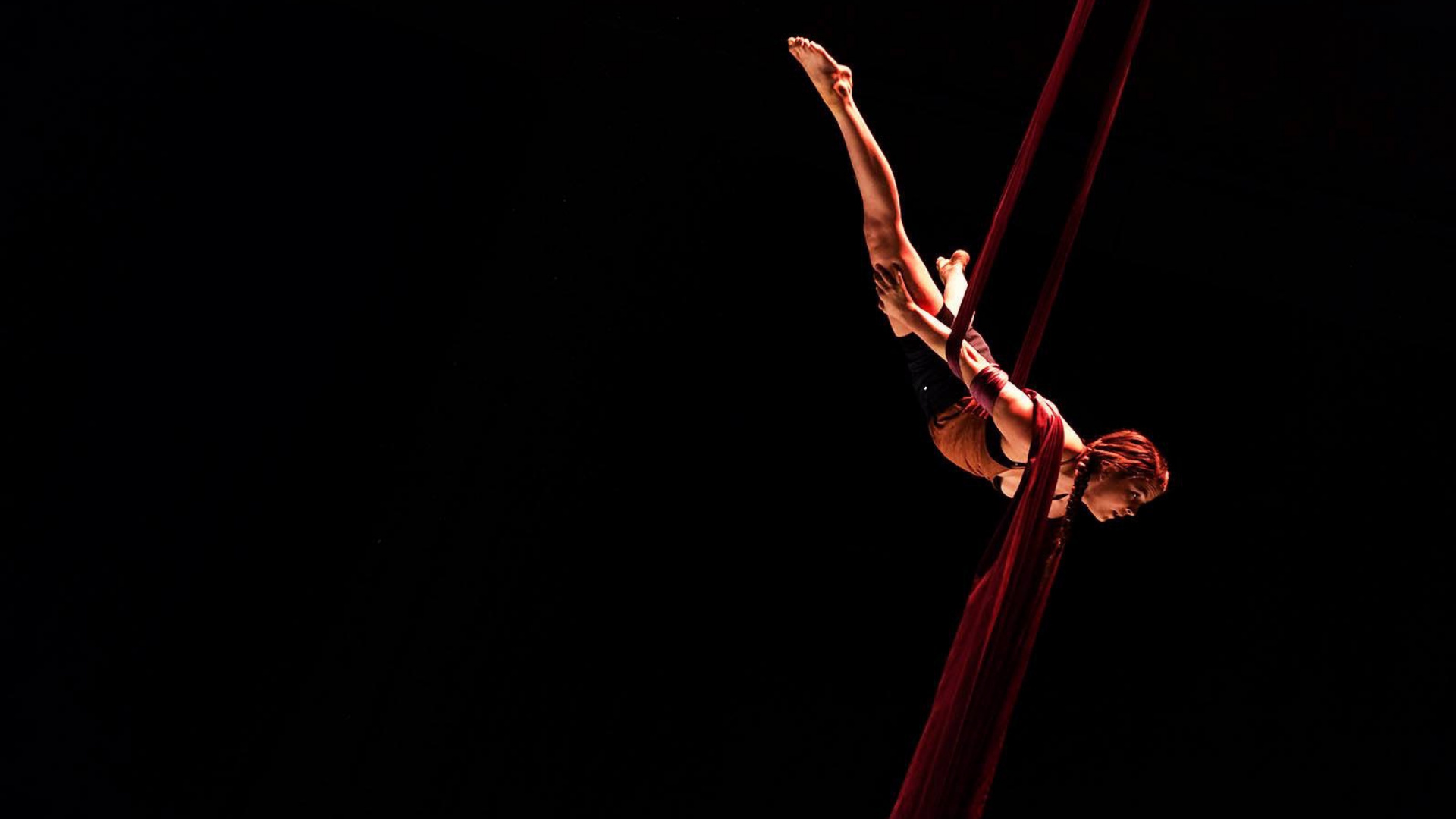 Aerial monkey hands, Aerial gymnastics, Aerial skill, Acrobatic strength, 1920x1080 Full HD Desktop