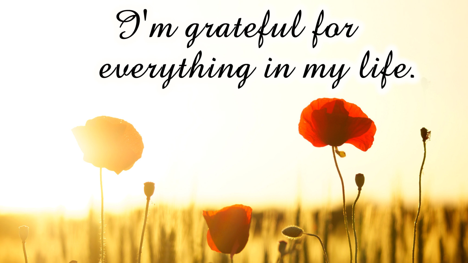 Affirmation challenge, Gratitude, Personal growth, Positive mindset, 1920x1080 Full HD Desktop