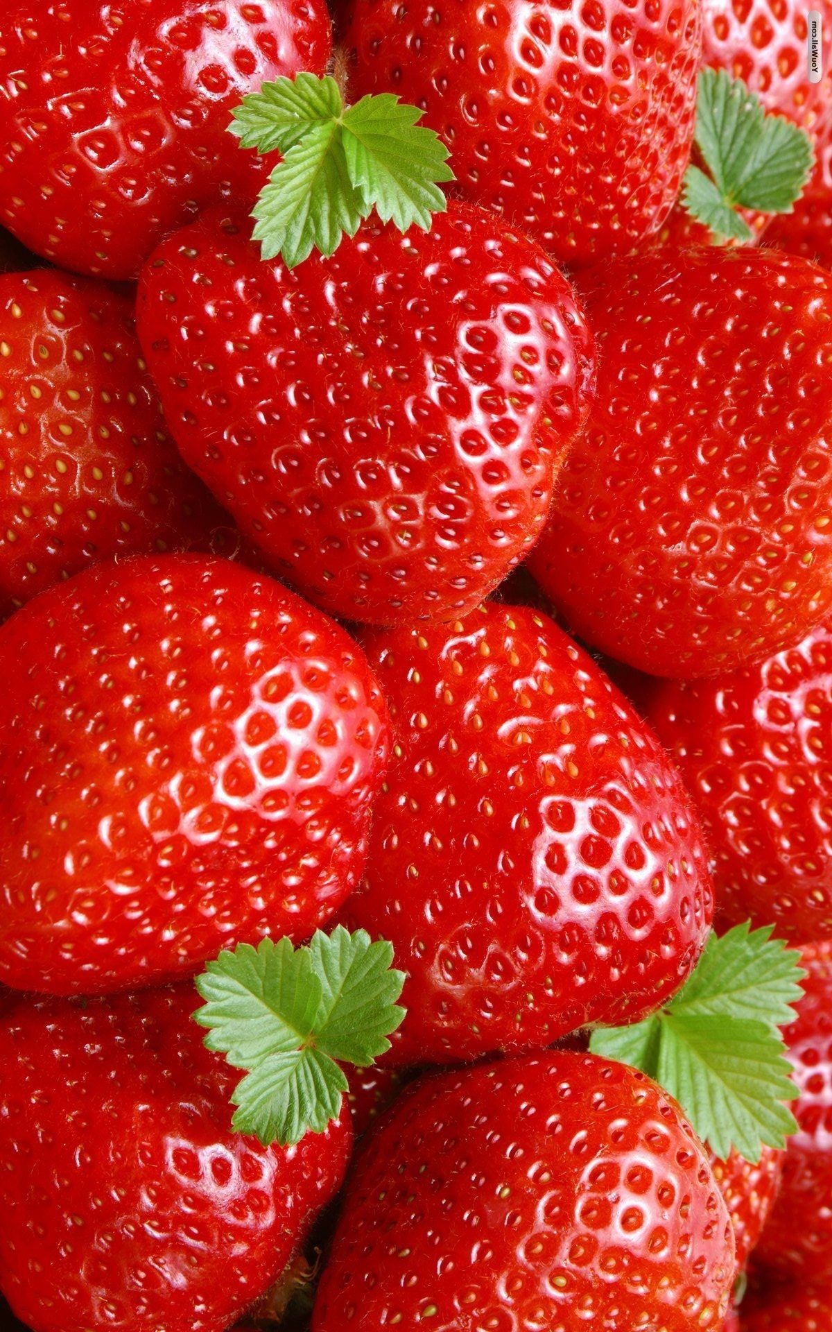 Strawberries, Wallpapers, Backgrounds, Food, 1200x1920 HD Phone