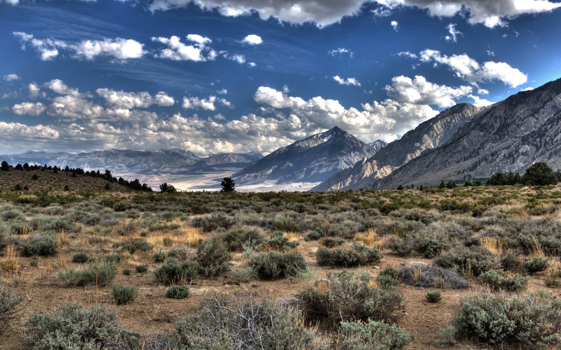 Teide National Park, Wallpapers, HDR, Tenerife, 1920x1200 HD Desktop