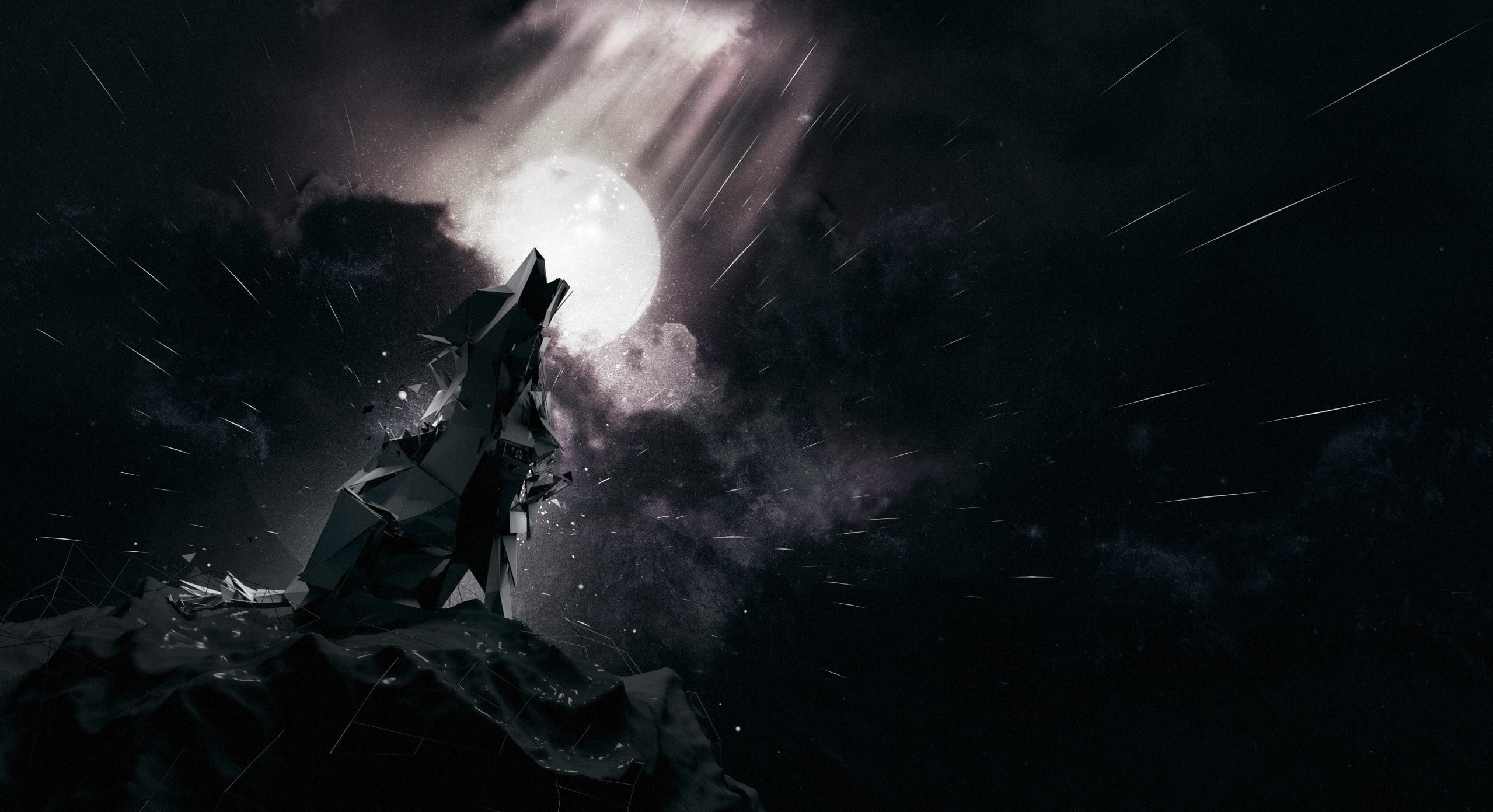 Silhouette of howling wolf, Impressive nature scene, Striking wallpaper, Fiery atmosphere, 2560x1400 HD Desktop
