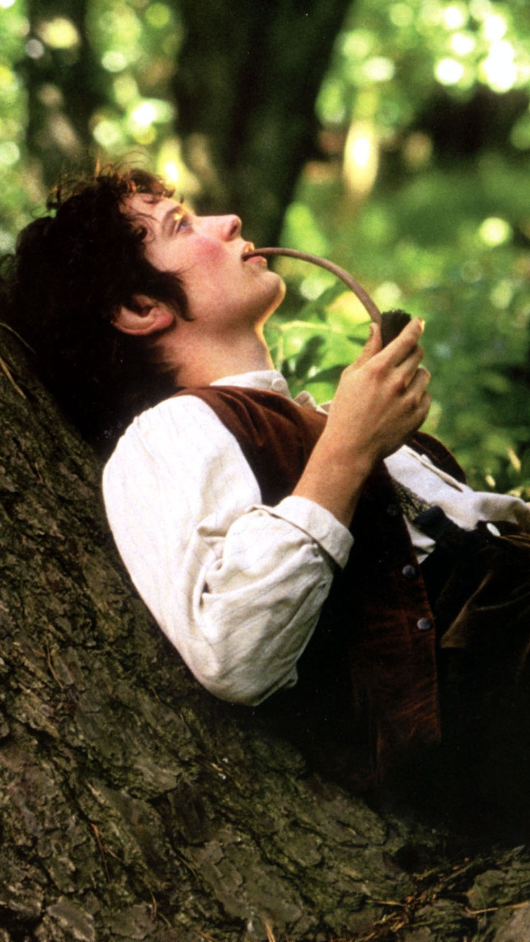 Magical journey, The Fellowship of the Ring, Hero's quest, Riveting storytelling, 1080x1920 Full HD Phone