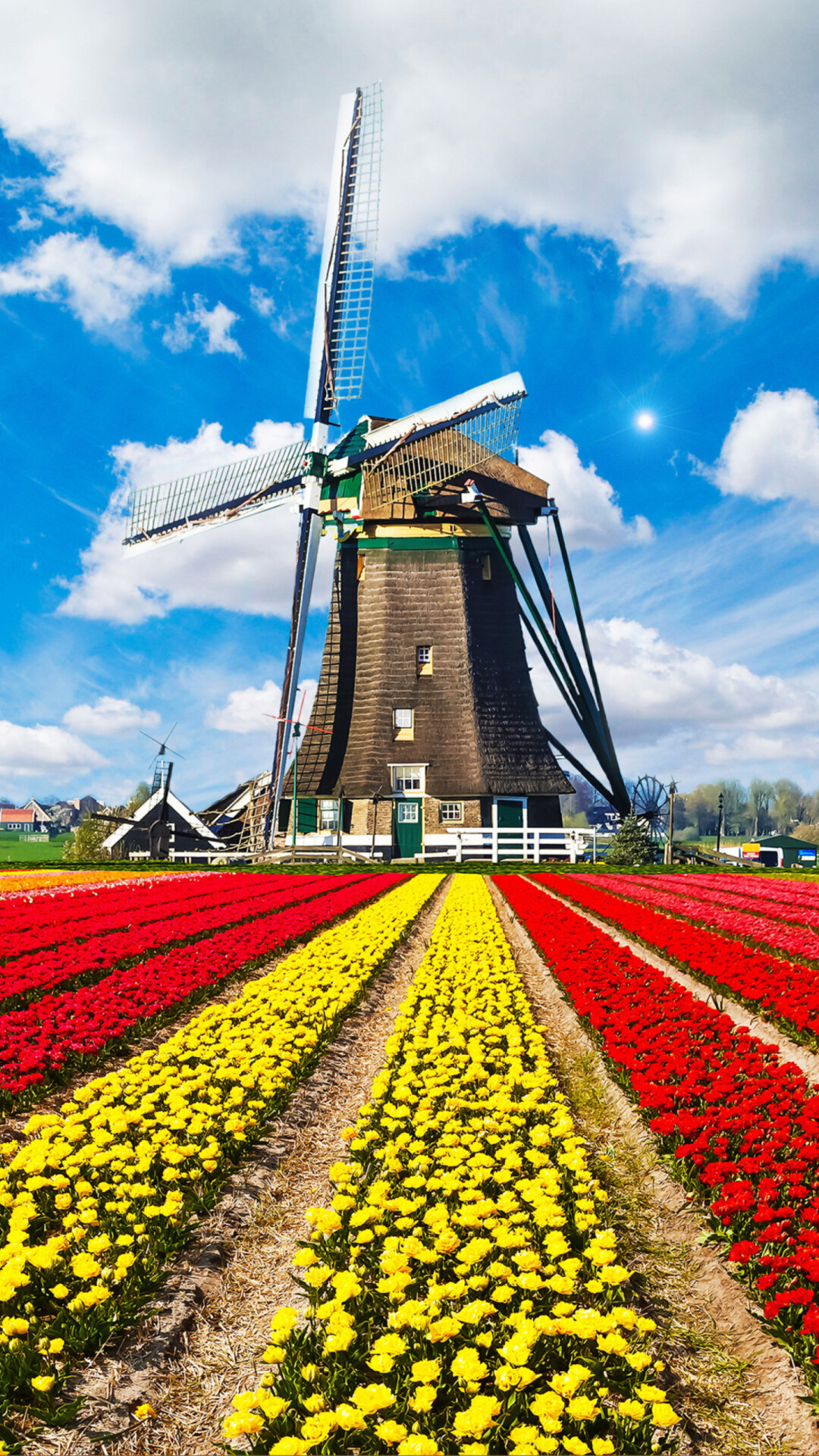 Tulip fields, Holland landscape, HD wallpaper, Tulips, 1080x1920 Full HD Phone