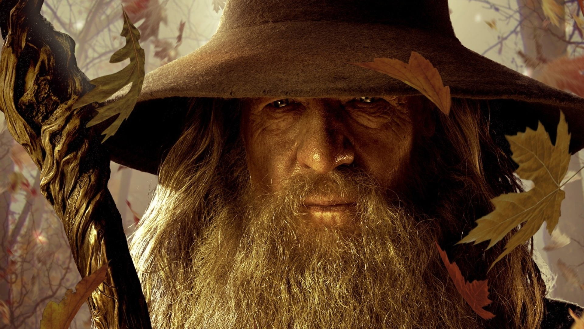 Gandalf, Wallpaper, Desktop background, UHD TV, 1920x1080 Full HD Desktop