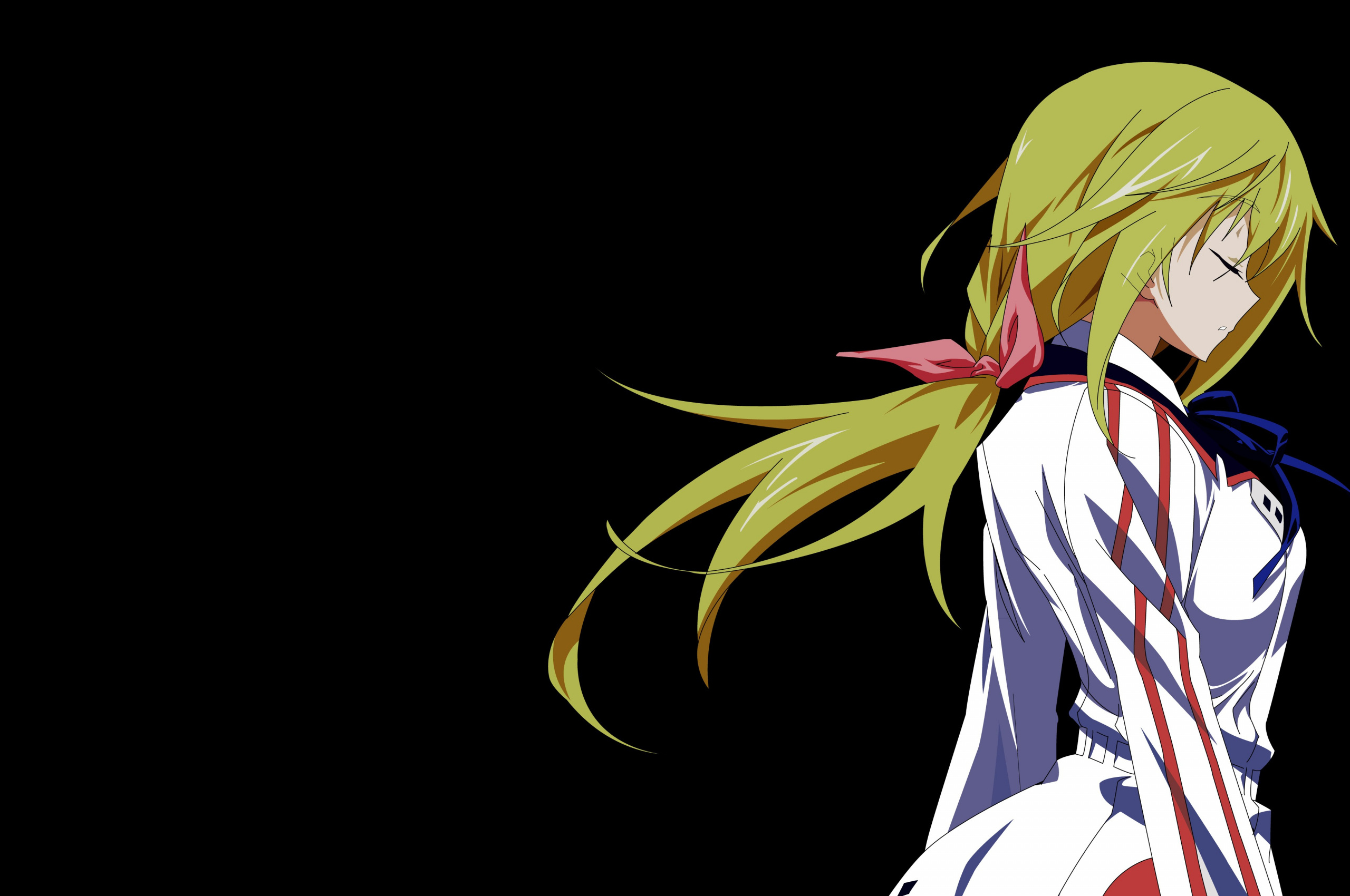 Blondes, Infinite Stratos, Dunois Charlotte, Anime girls, 2560x1700 HD Desktop