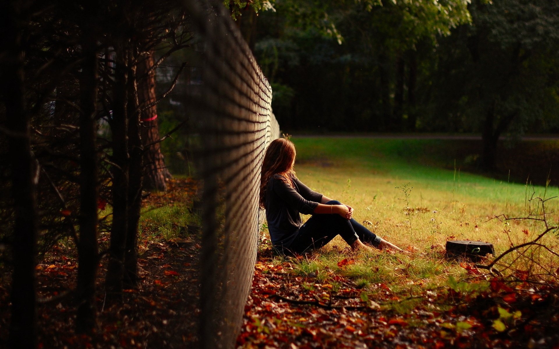 Solitary woman sitting, Wire mesh fence, Autumn fallen leaves, HD Desktop wallpaper