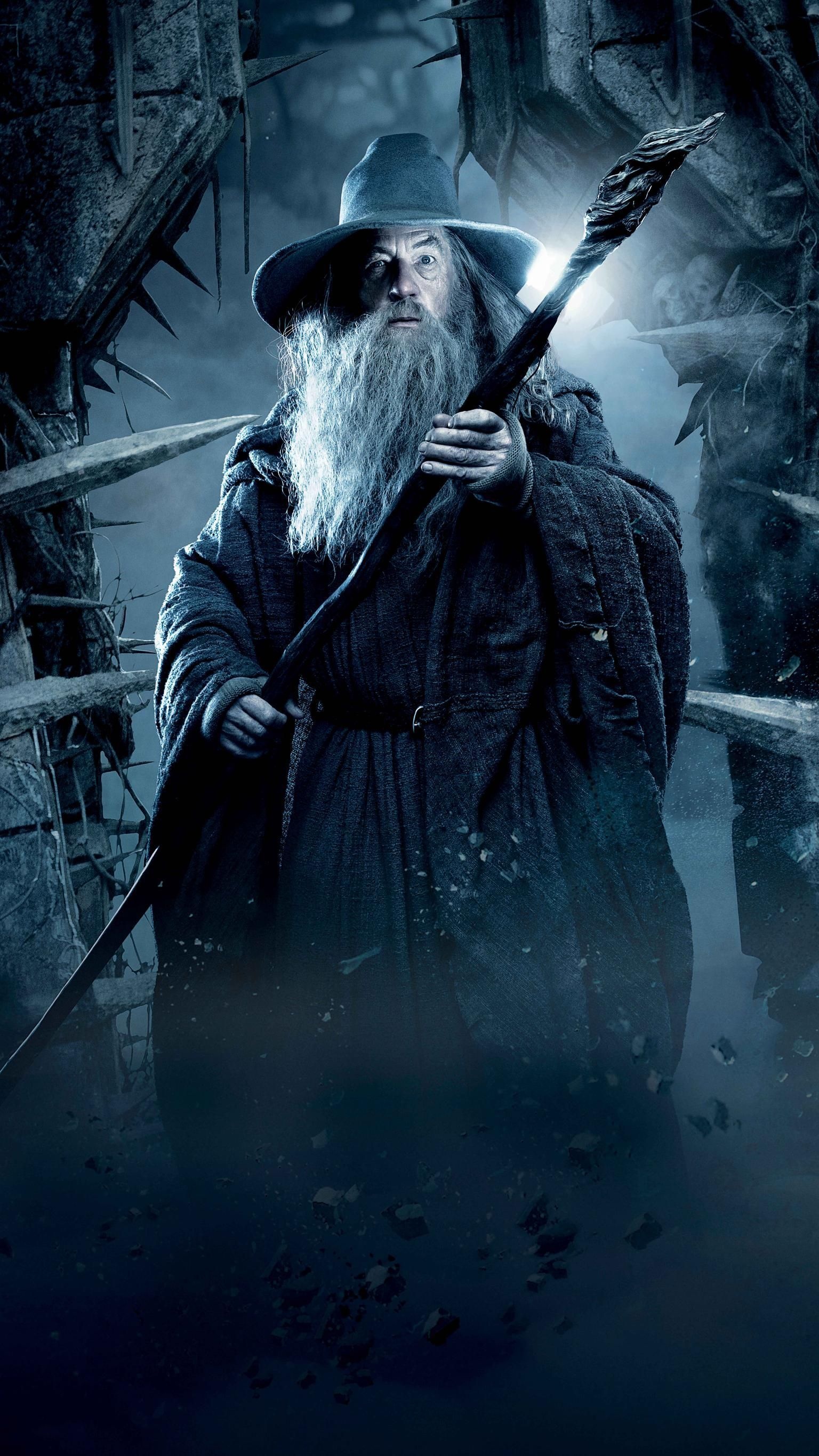 The Hobbit: The Desolation of Smaug, Gandalf the White Wallpaper, 1540x2740 HD Phone