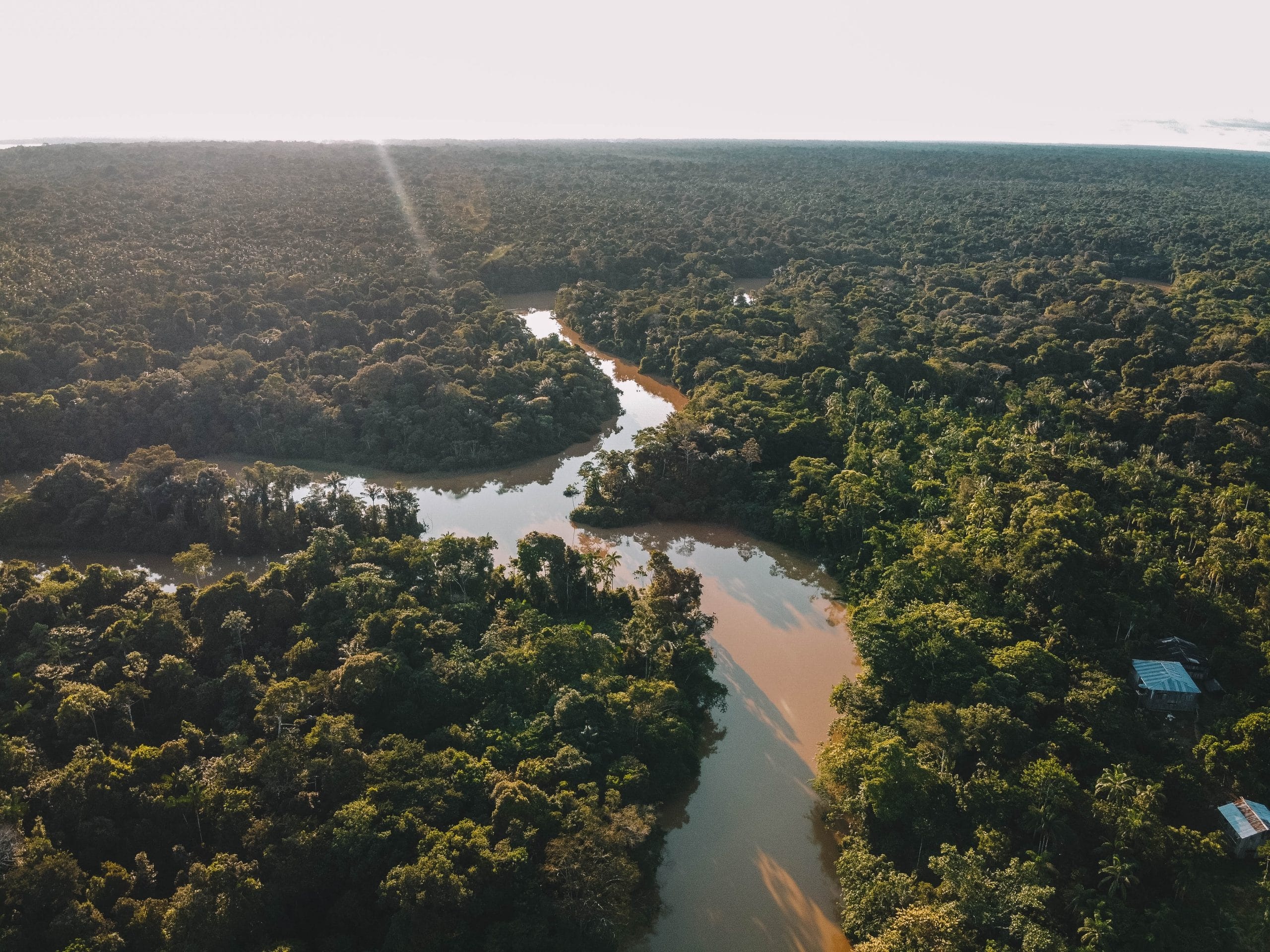 Colombia rainforest, The Amazon River Wallpaper, 2560x1920 HD Desktop