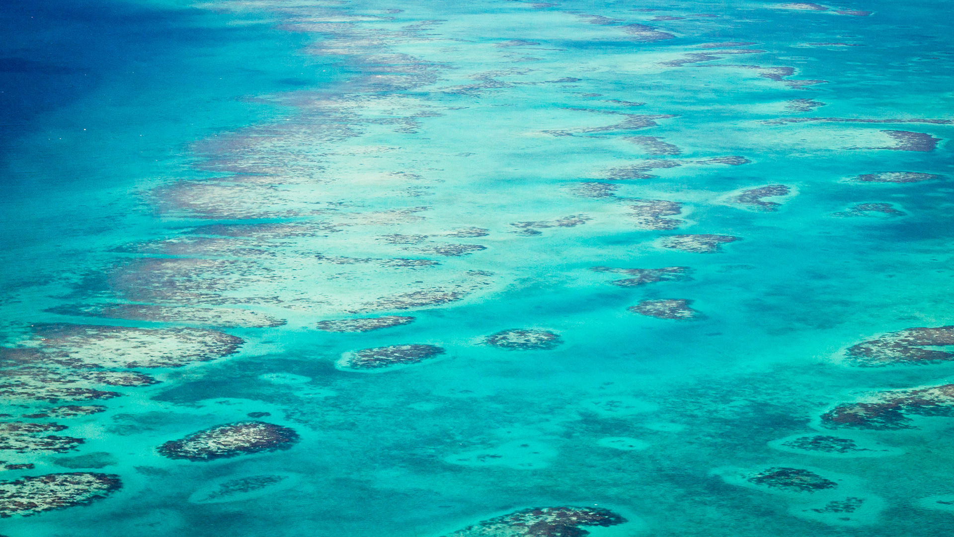 Scuba diving adventure, Underwater wonders, Colorful marine life, Dive into Belize, 1920x1080 Full HD Desktop