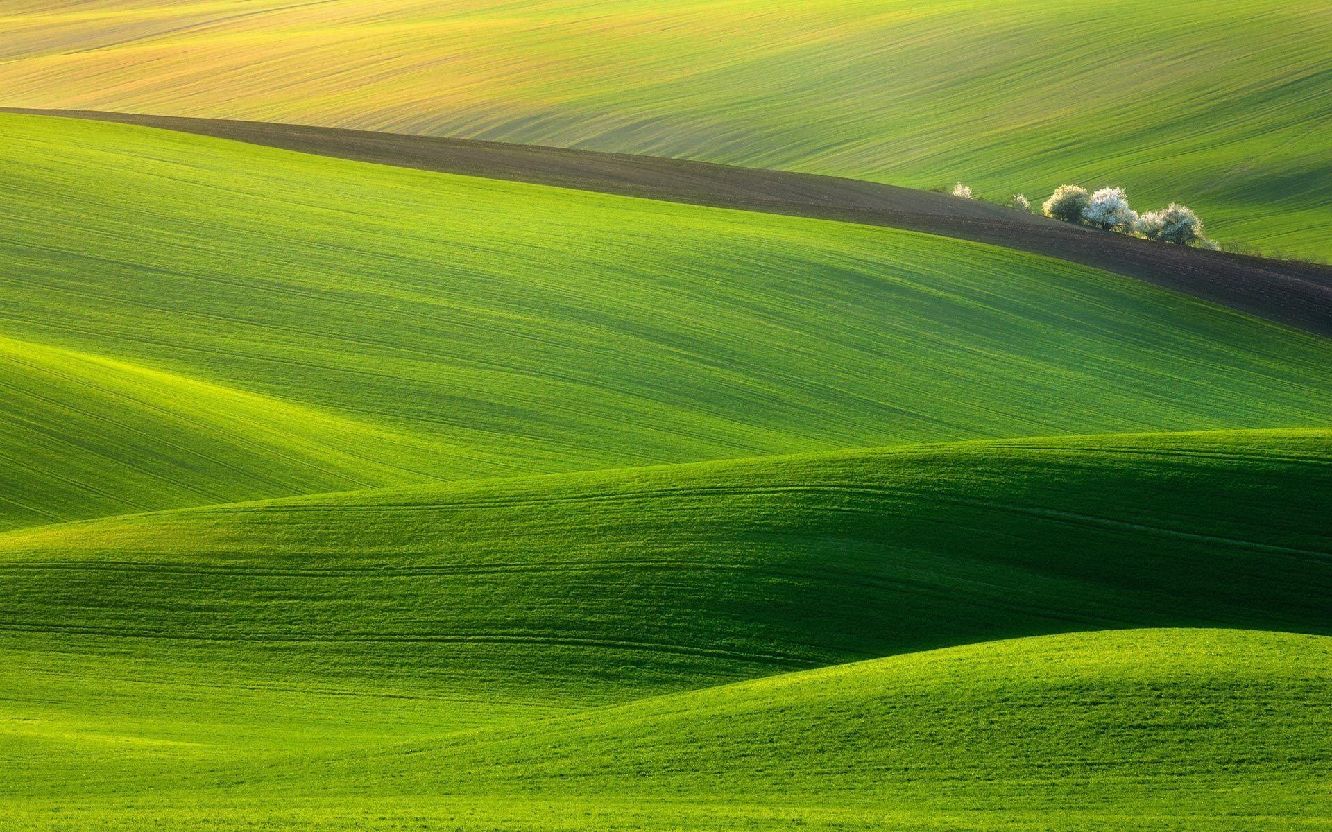 Emerald hillscapes, Natural allure, Peaceful surroundings, Captivating vistas, 1920x1200 HD Desktop