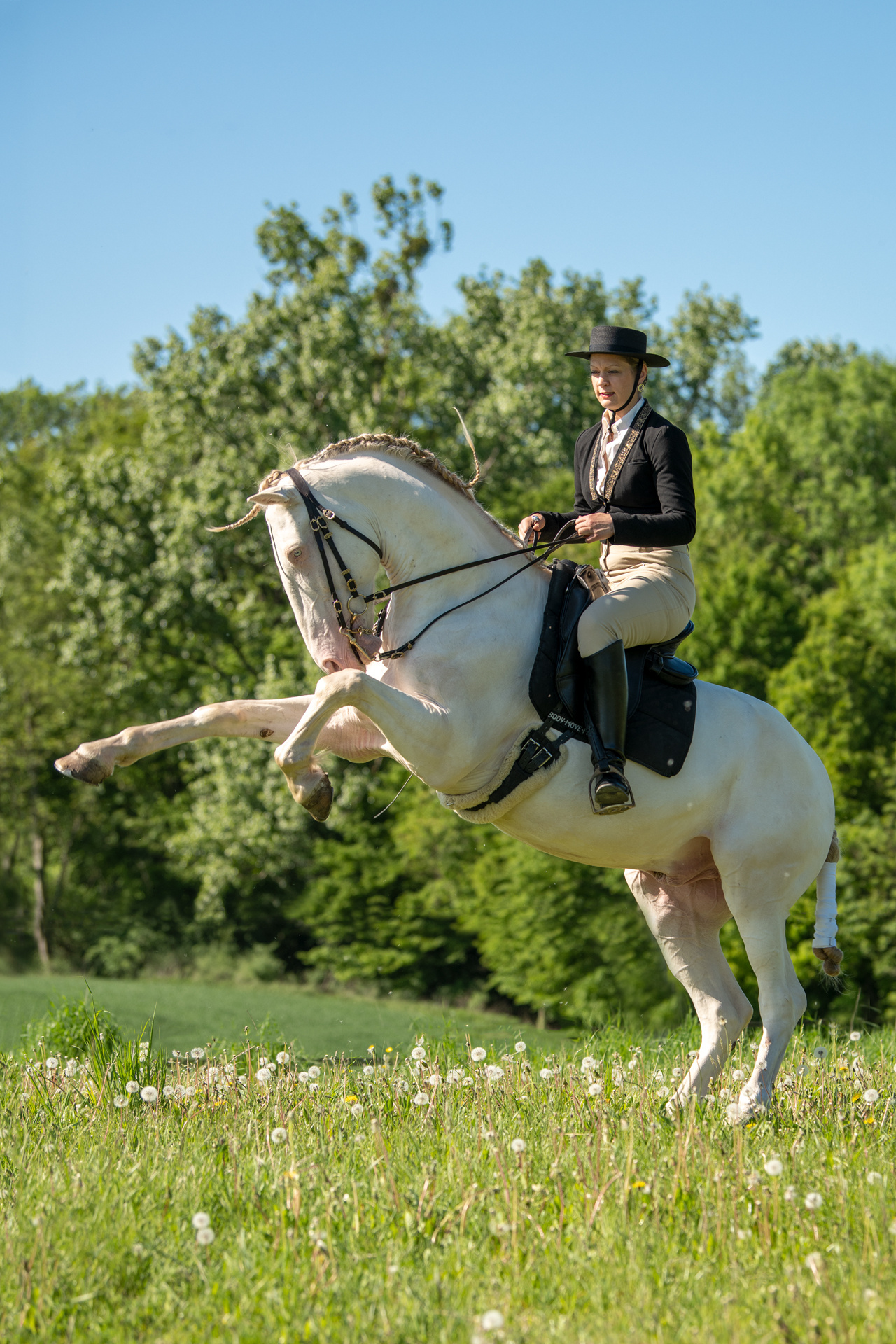 Equitation sports, Thomas grad imagemaker, Working equitation, Horse riding, 1280x1920 HD Phone