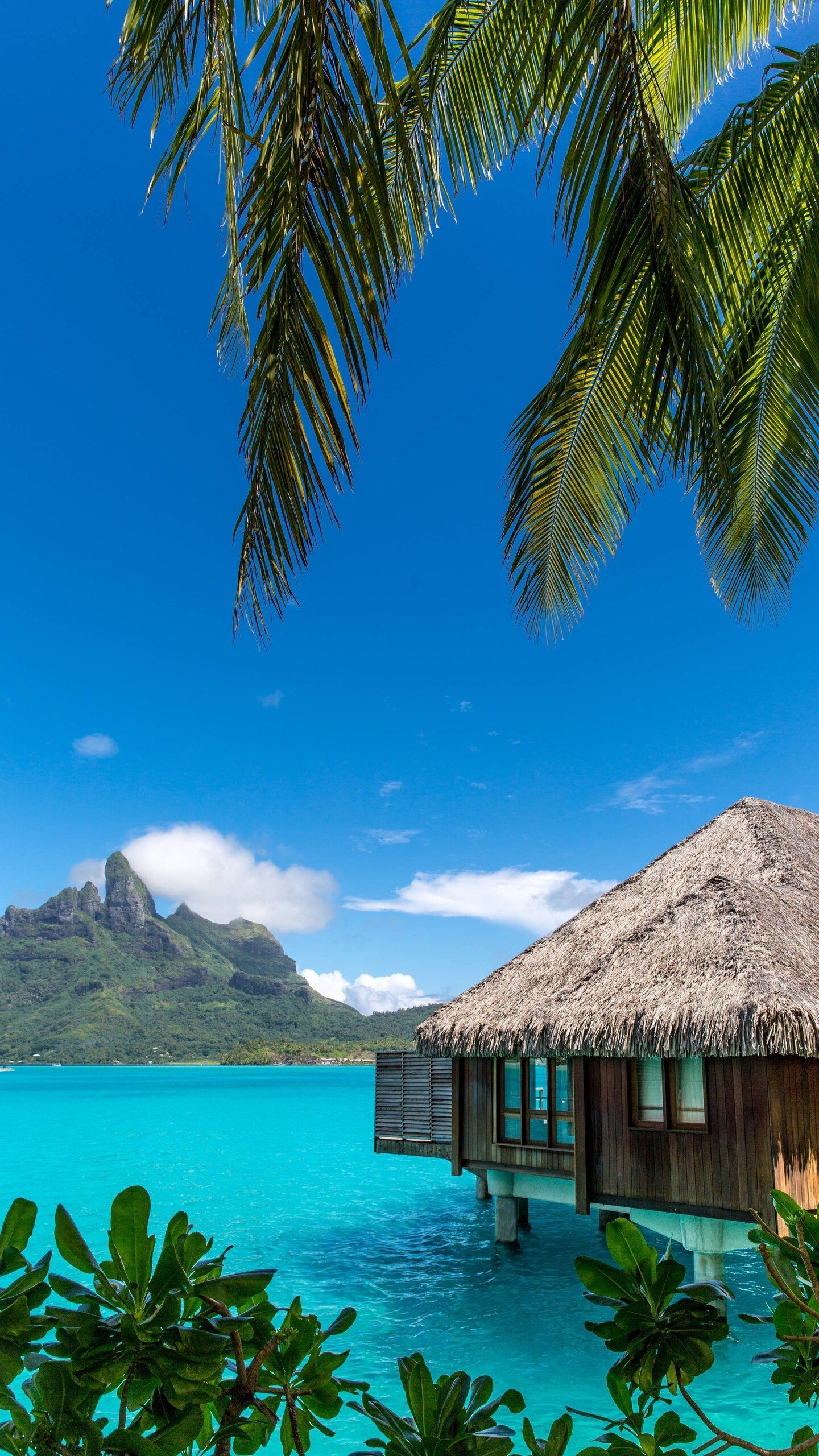 Bora Bora, Bora Bora travel, South Pacific, 1440x2560 HD Phone