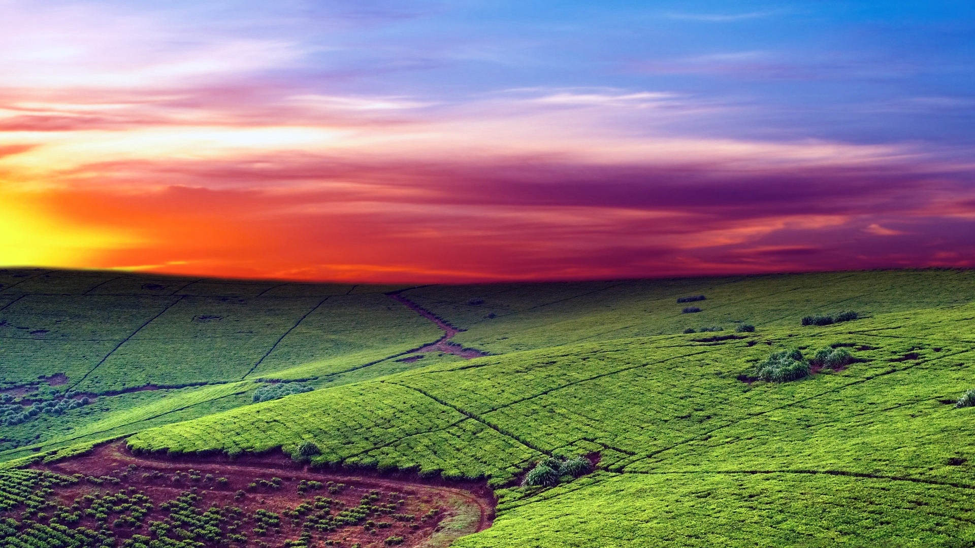 rolling tea plantation, red dirt pathways, sunset gradient sky, Full HD Desktop wallpaper