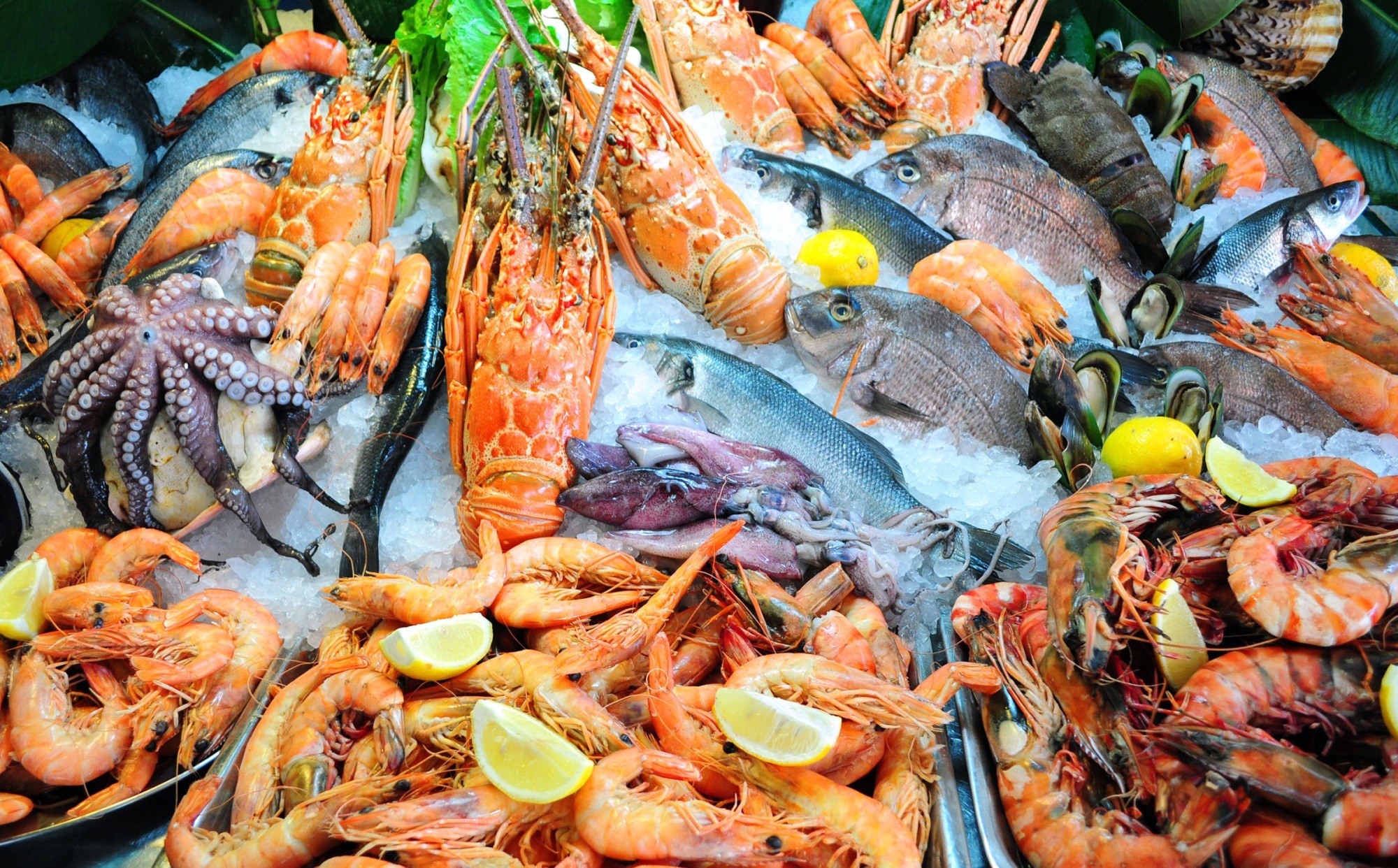 Seafood HD image, Seafood delicacies, Fresh seafood, Seafood dish, 2000x1250 HD Desktop