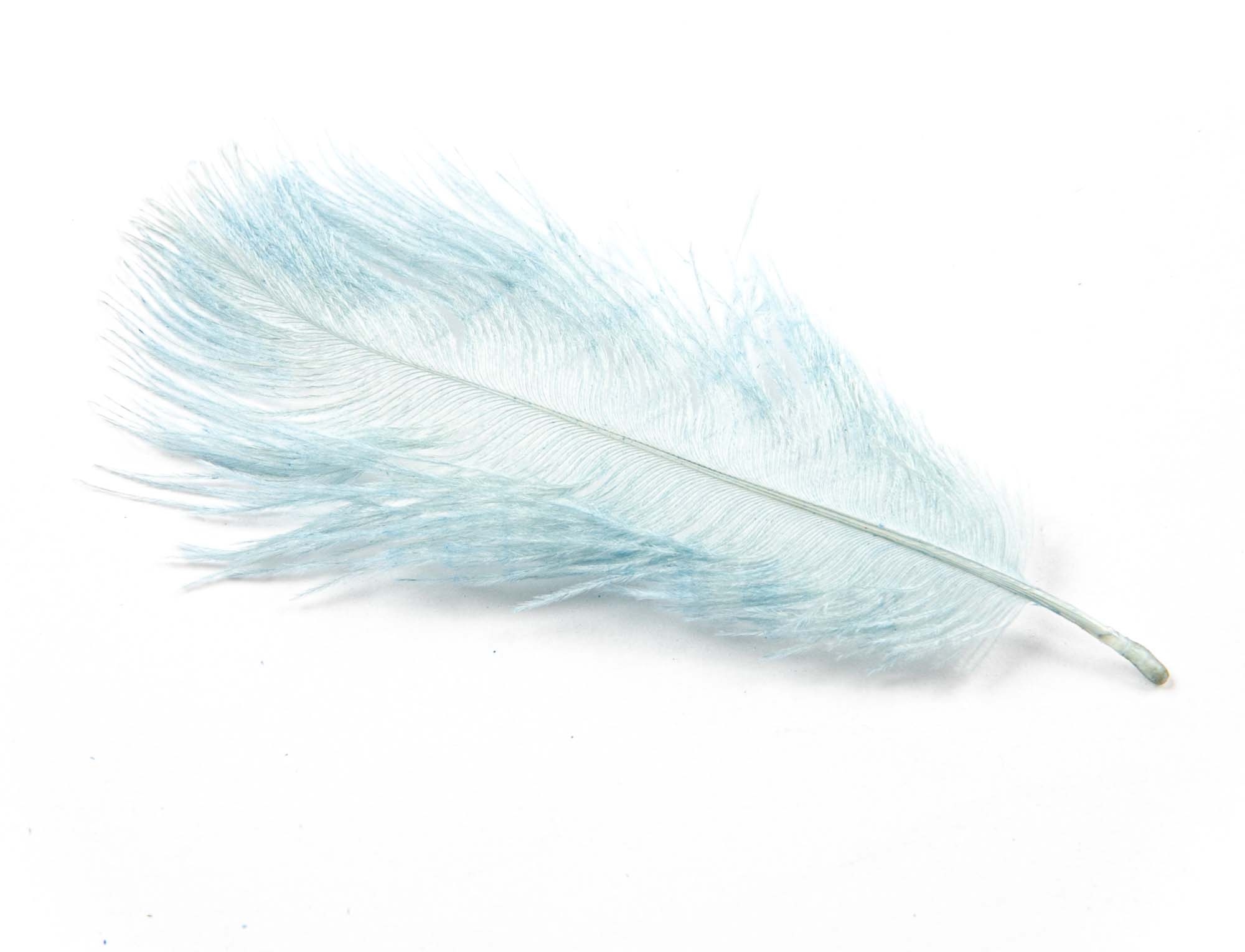 Ostrich feathers, Wedding confetti, Cape Karoo shop, Luxurious decoration, 2000x1530 HD Desktop